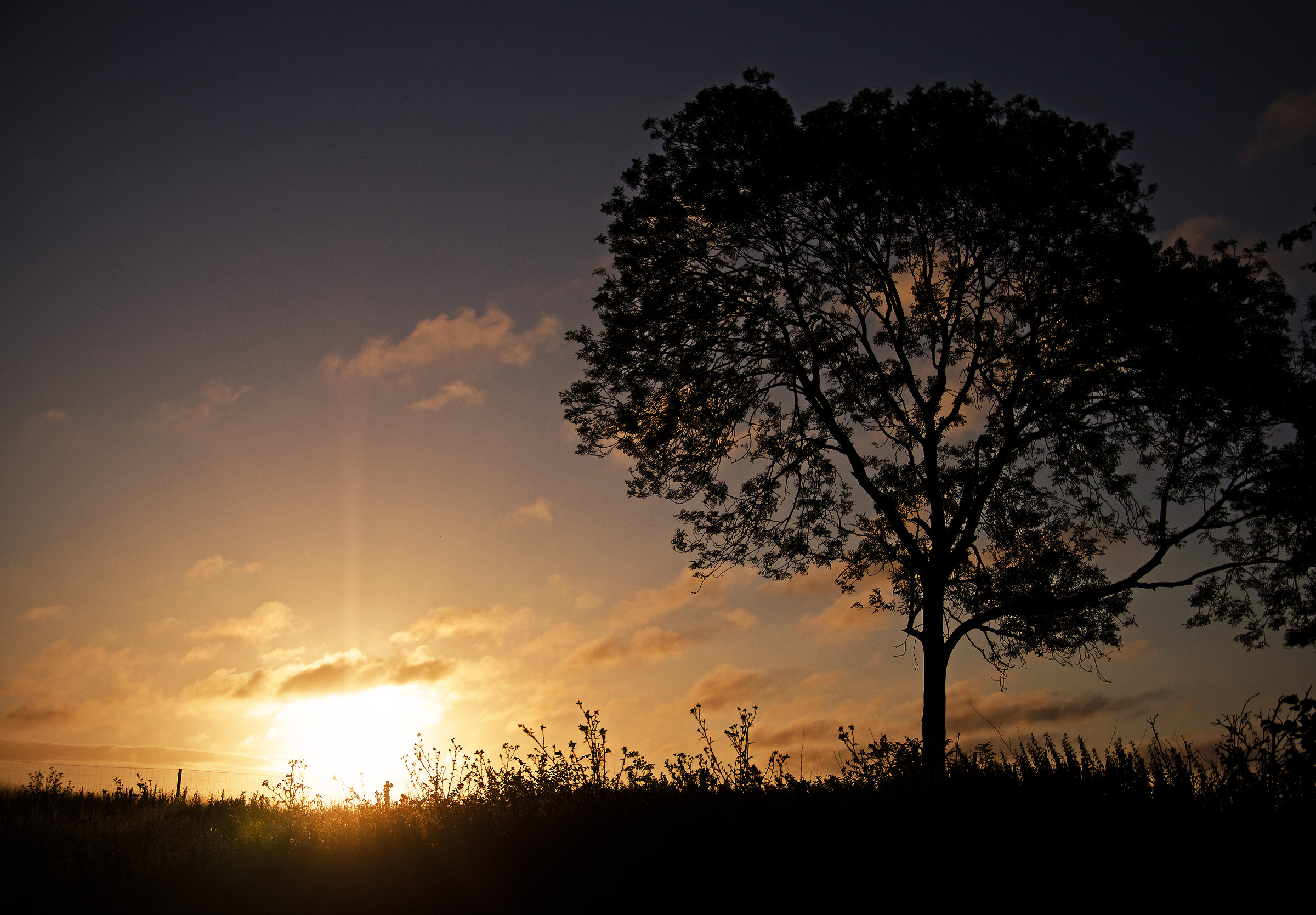 Yesterday's Sunrise...