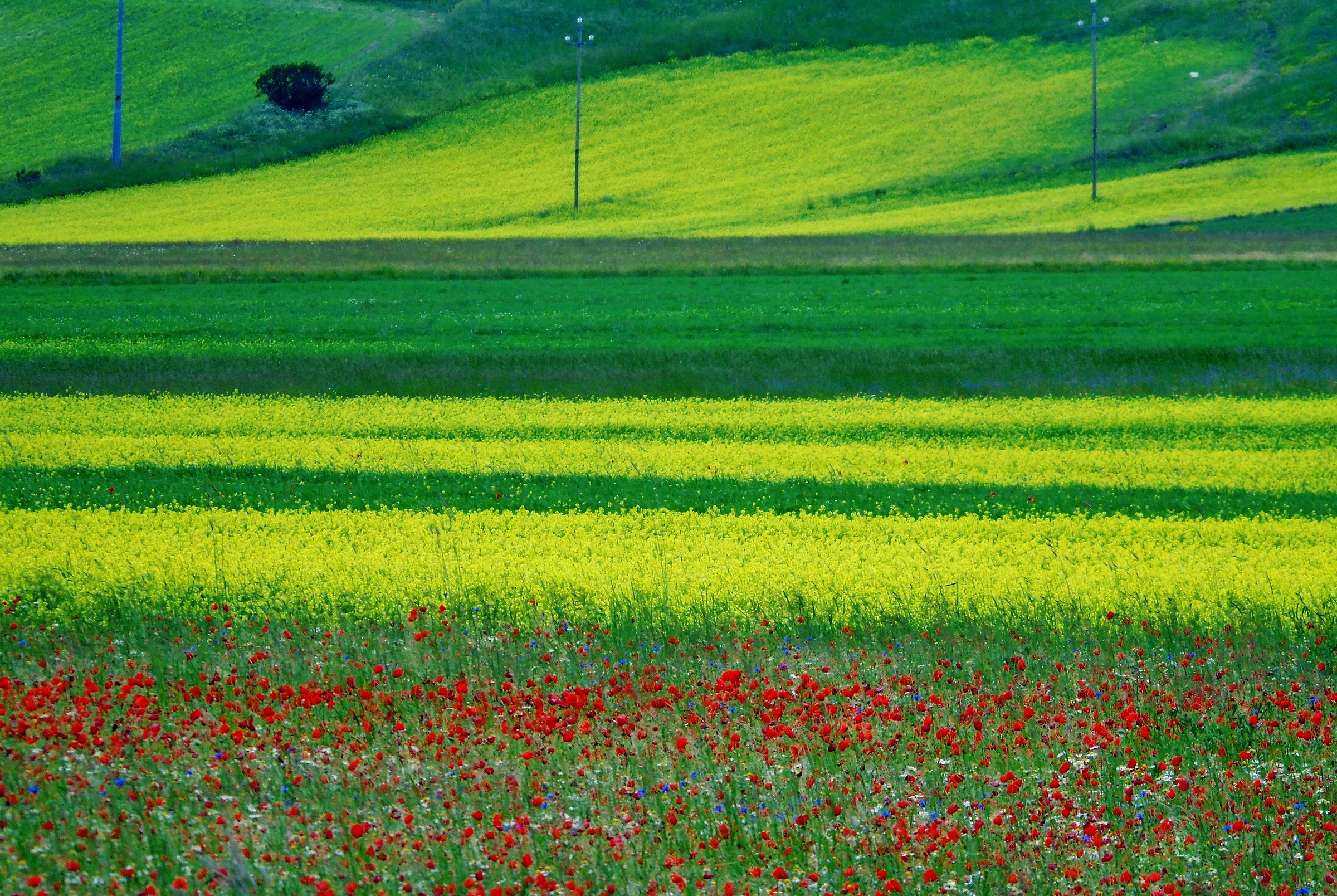 castelluccio - umbria