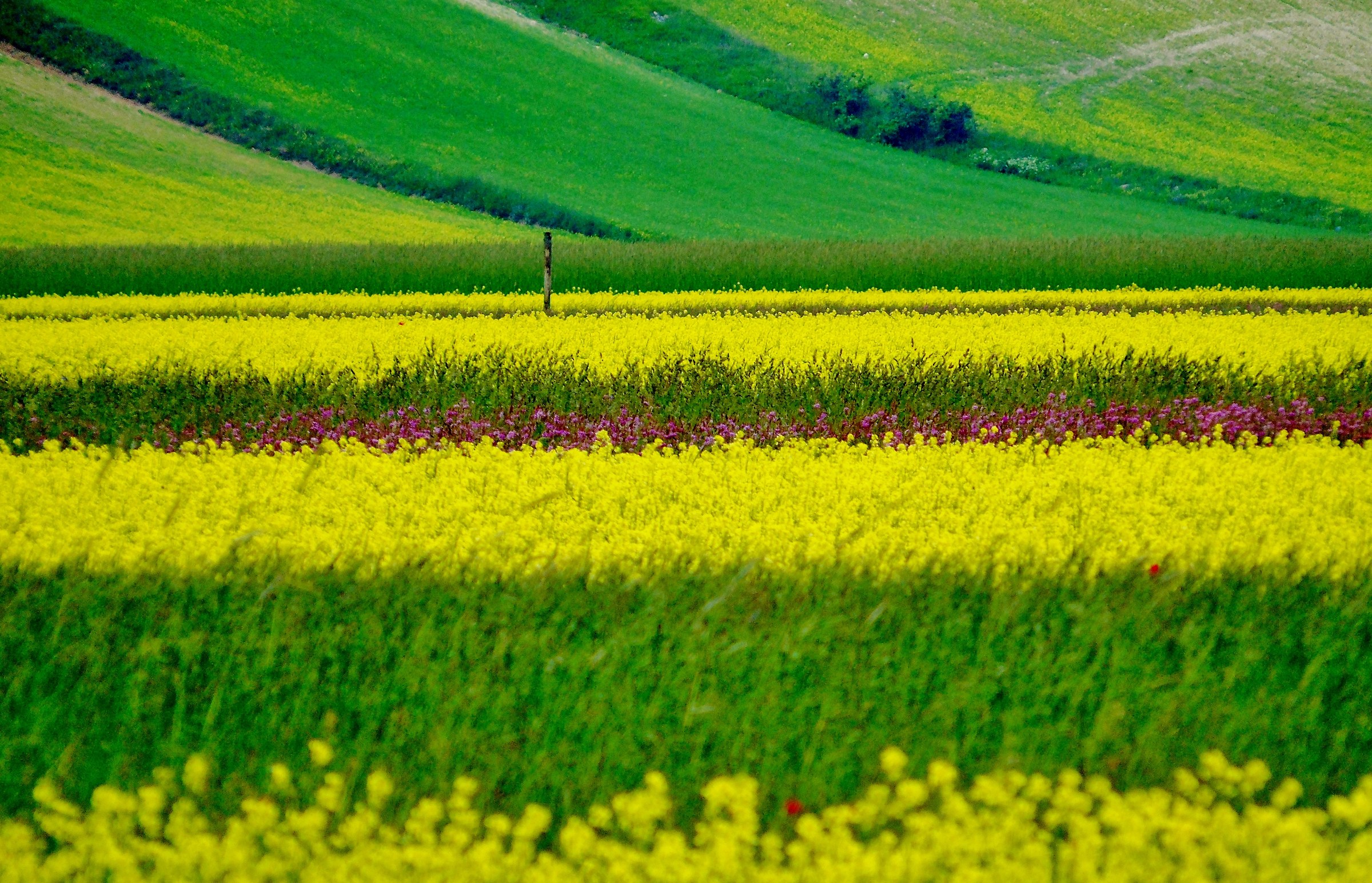 castelluccio - umbria