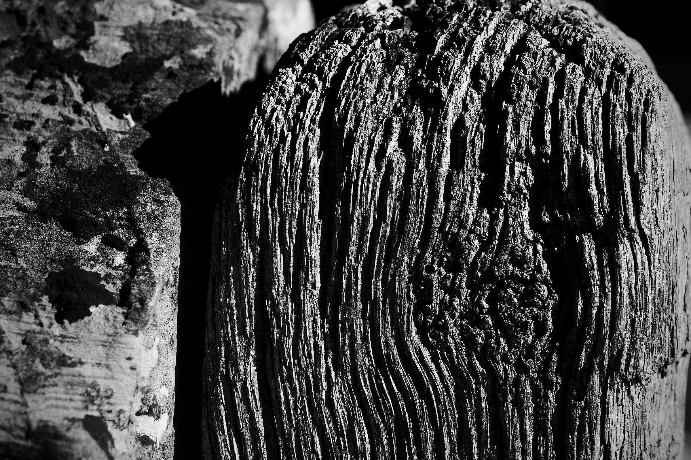 Weathered Old Post