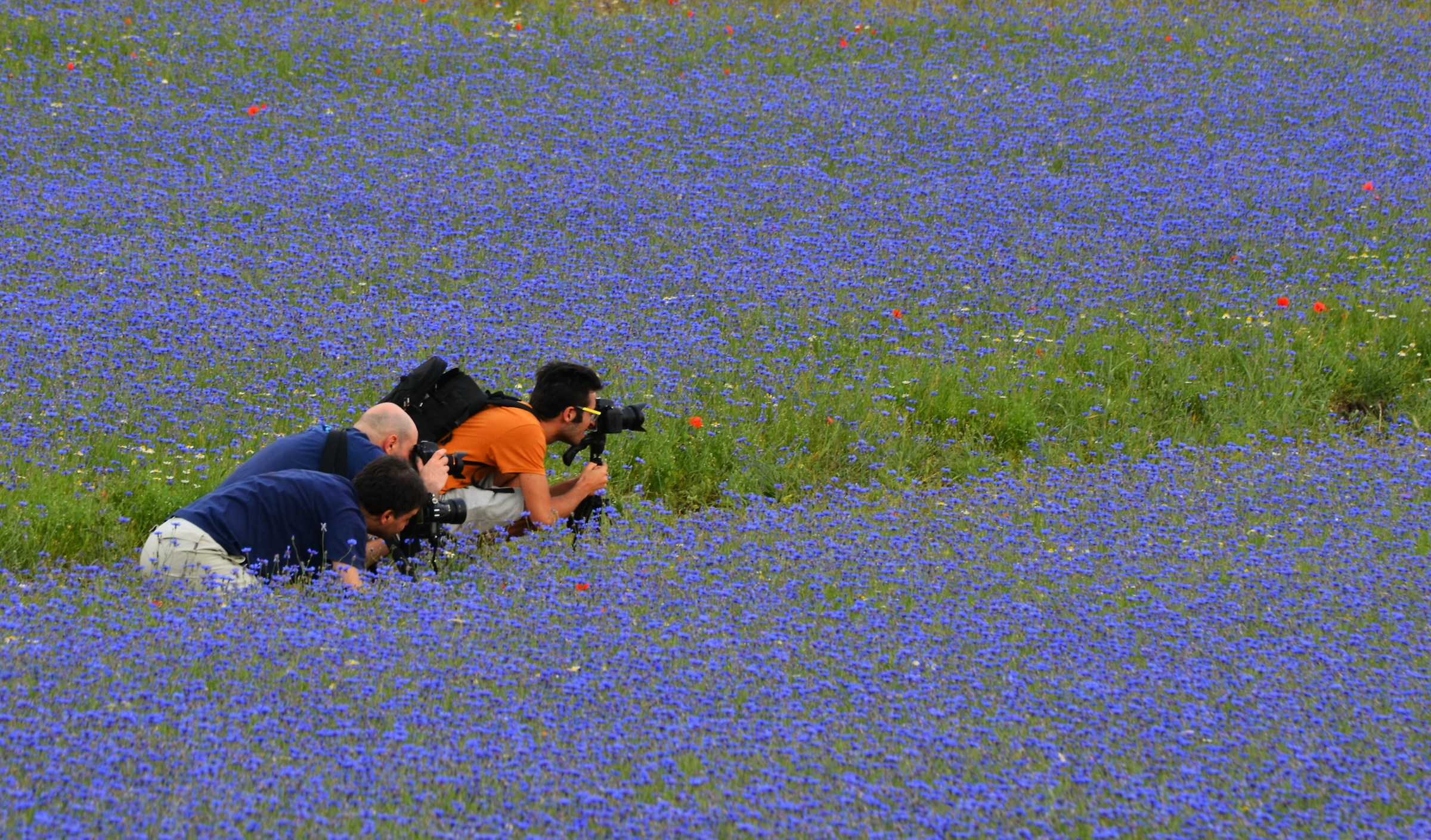 Pronti....partenza.....via.....