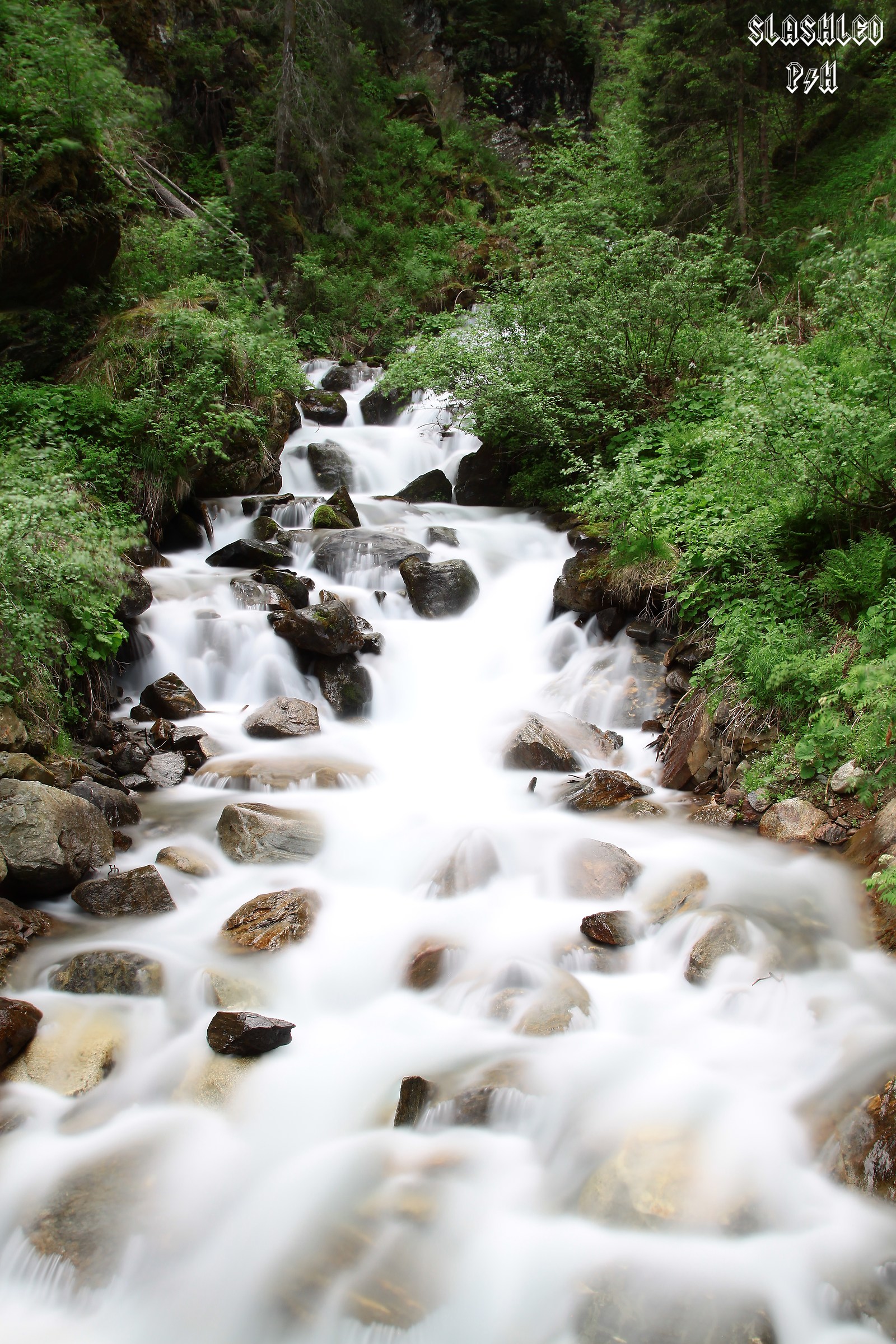 Ruscello in Val di Rabbi