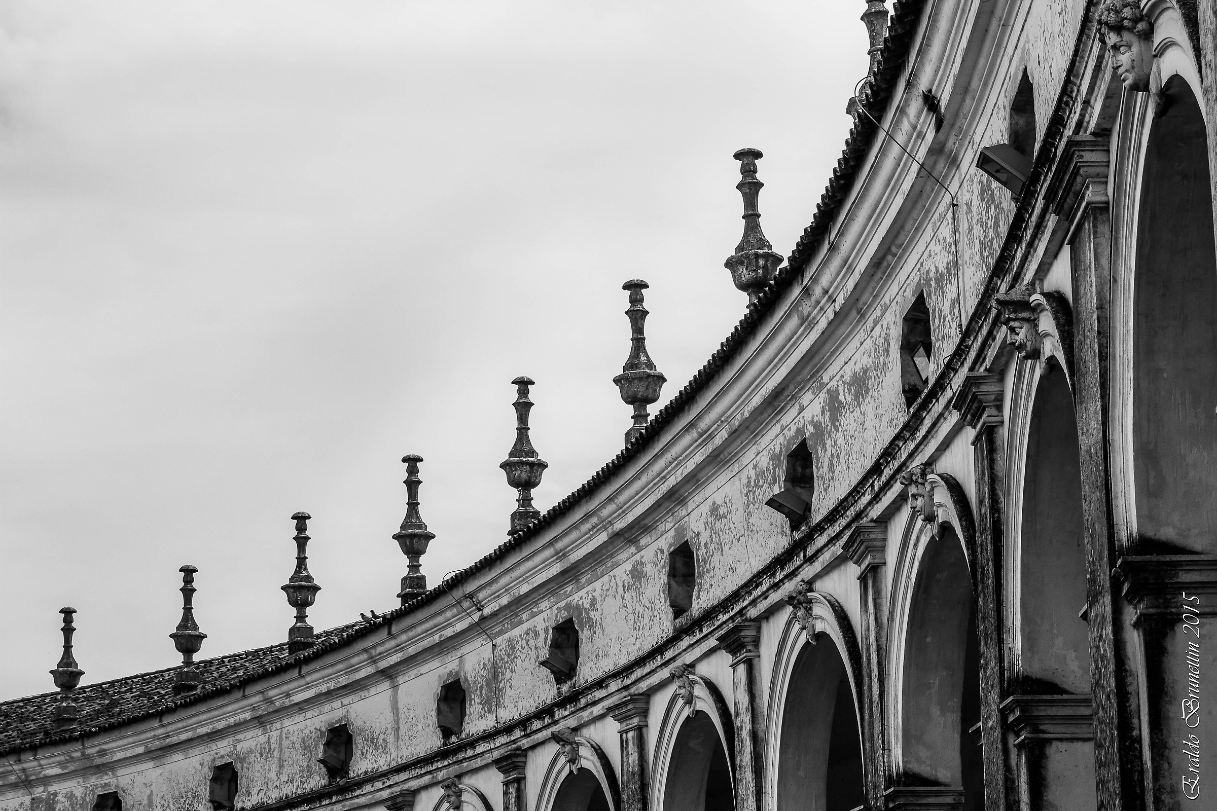 Particular Villa Manin (ud)