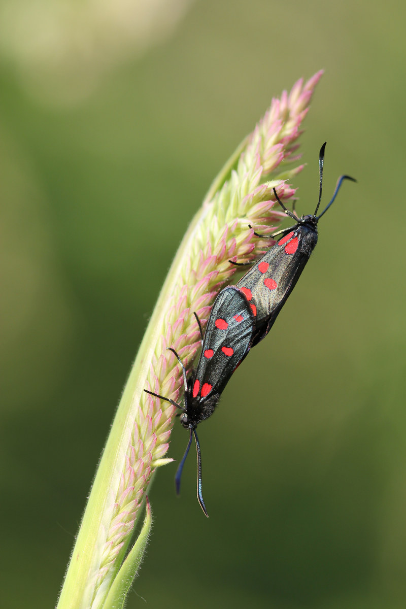 wherever it is, we are to be admired