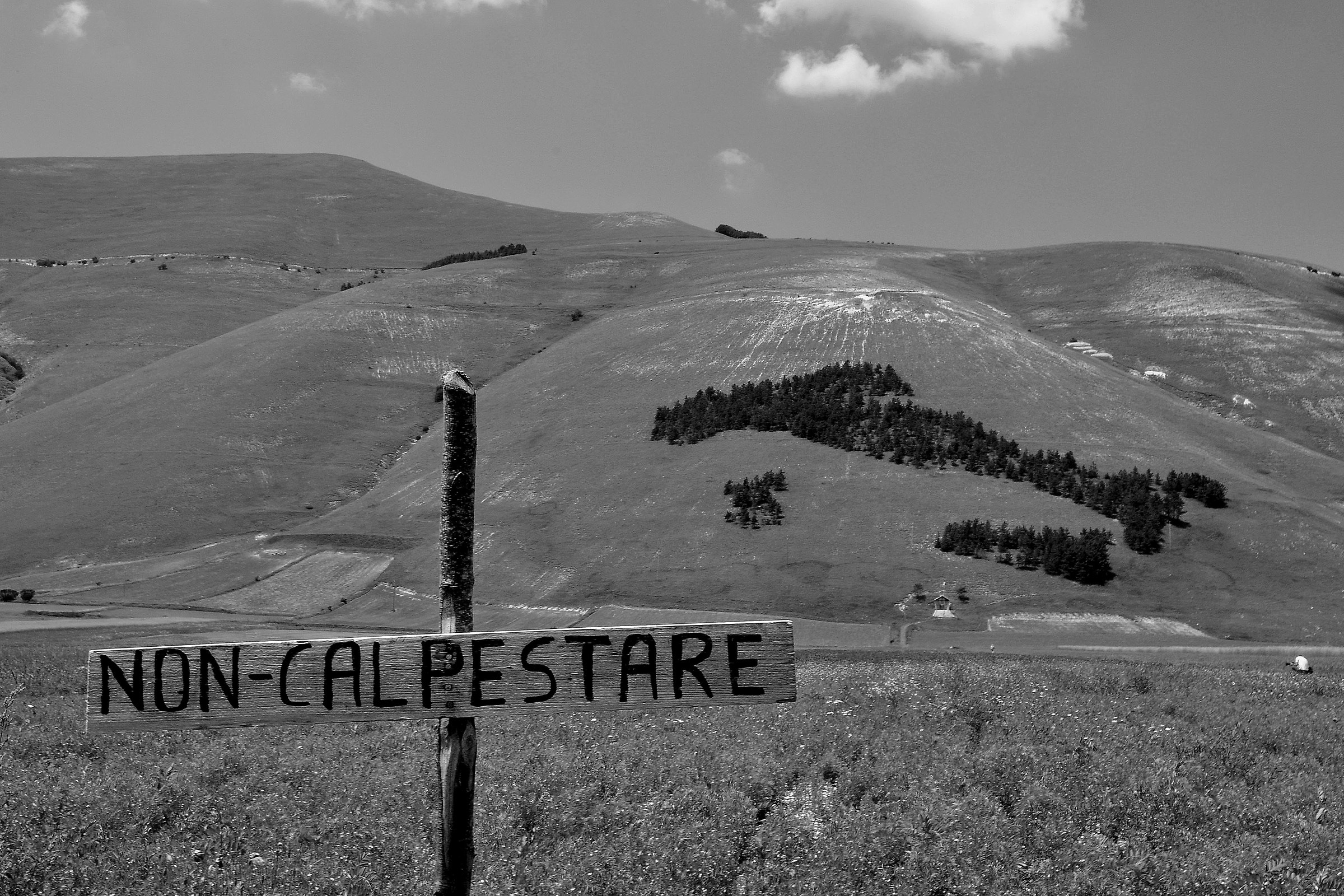 Non calpestare ...