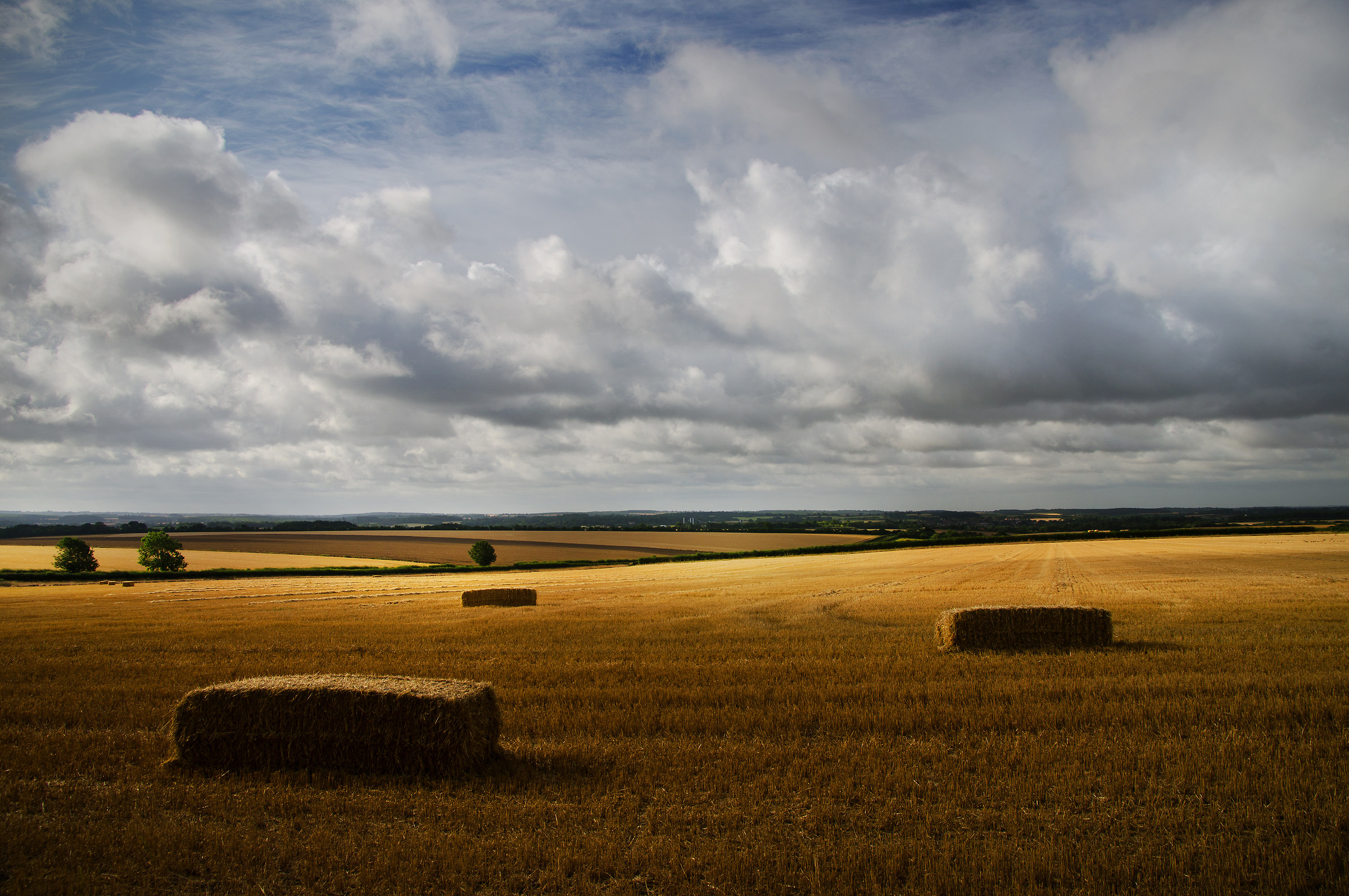 Dopo la raccolta - 2