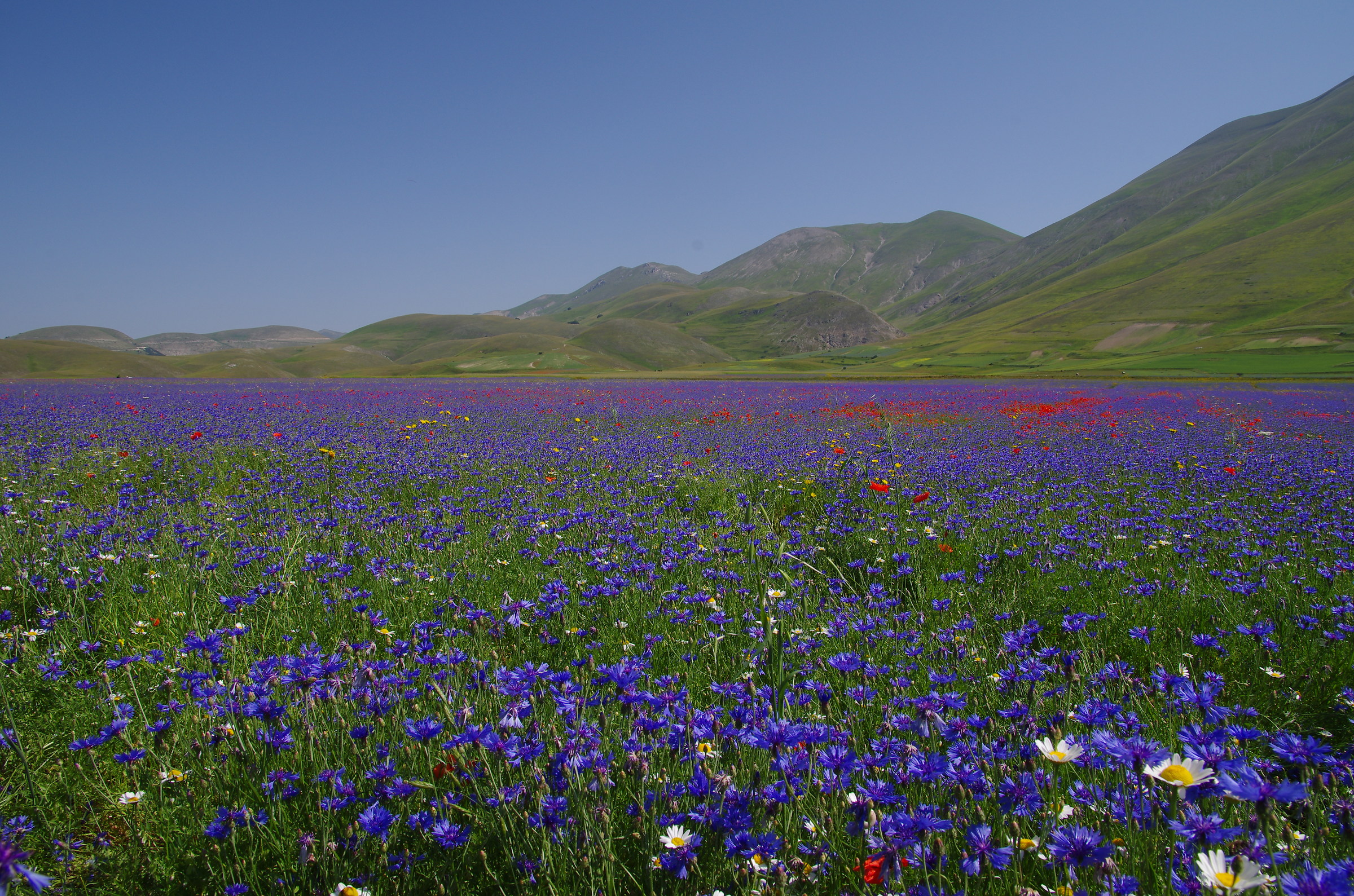 Castelluccio 1