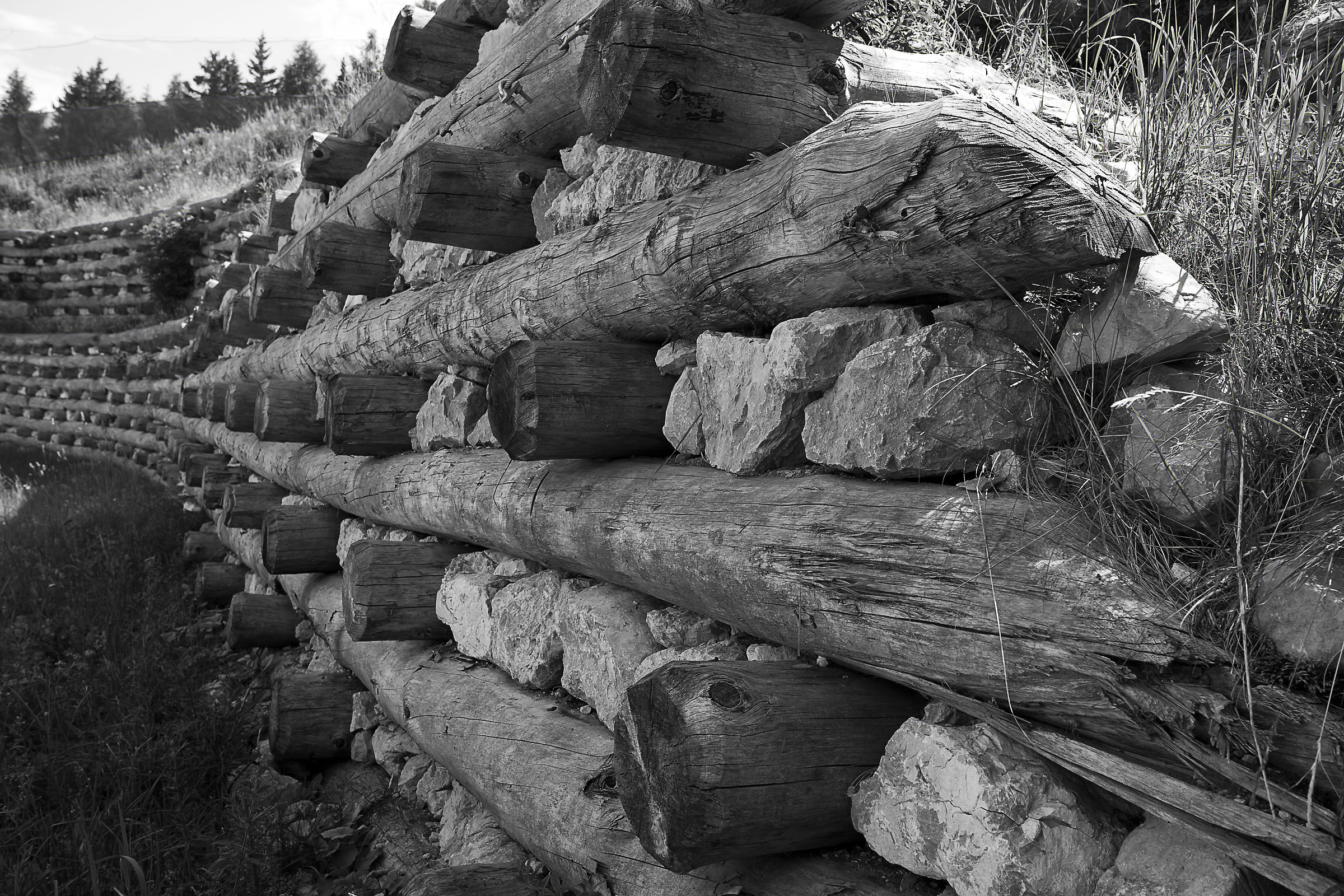 Sentieri di Montagna