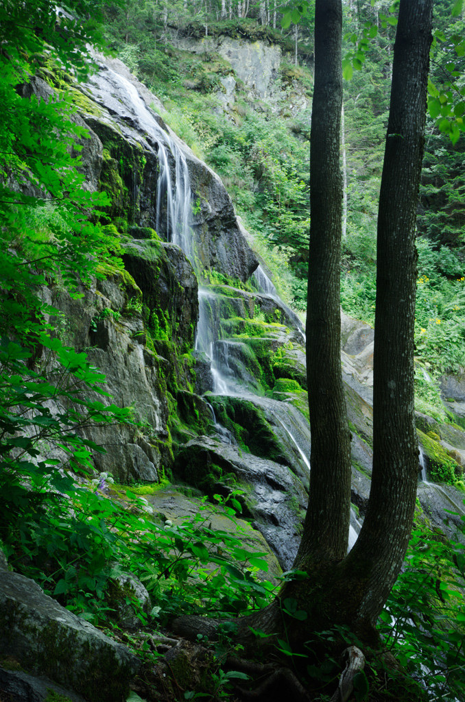 Valle Pesio - Niagara Saut - 5