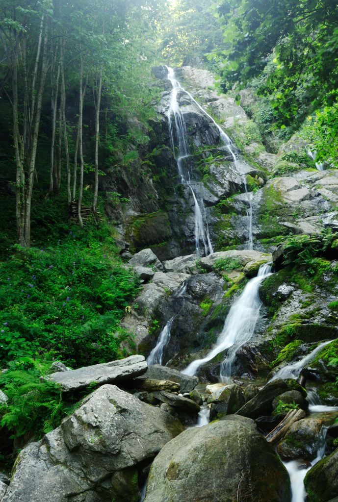 Valle Pesio - Niagara Saut - 3