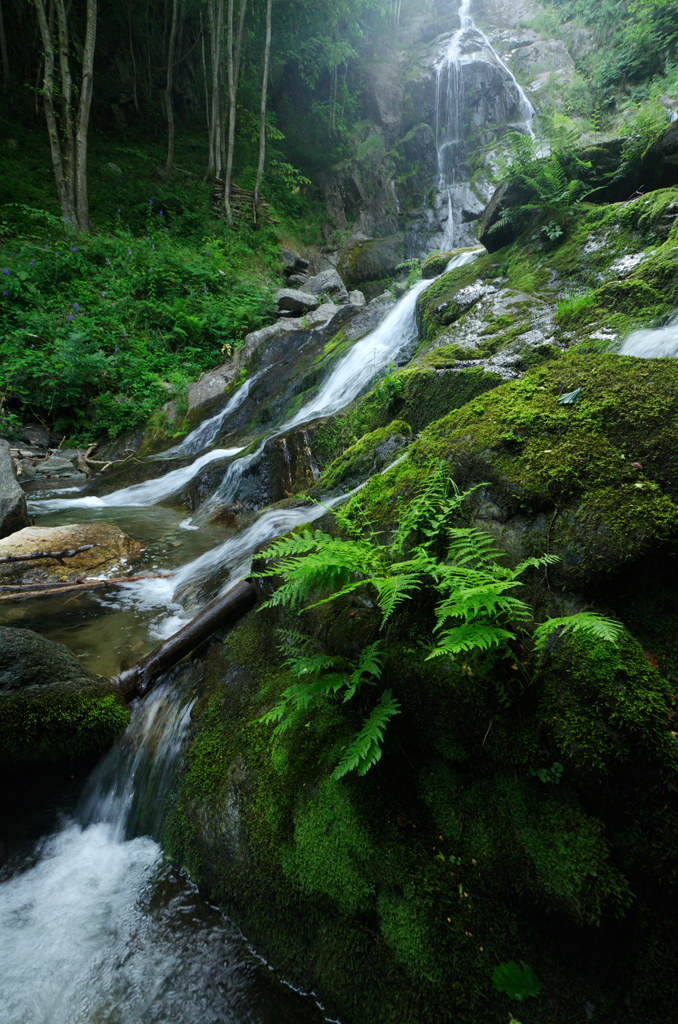 Valle Pesio - Niagara Saut - 4