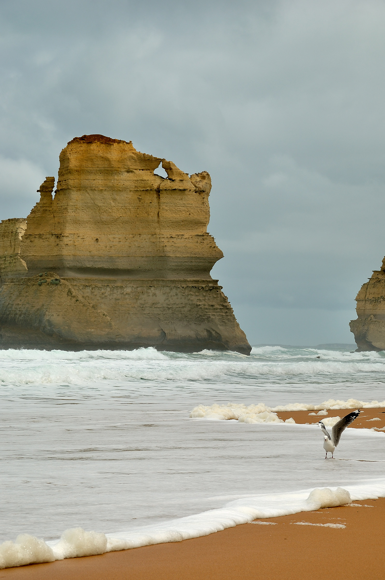 Gibson step - Great Ocean Road - Victoria - Australia