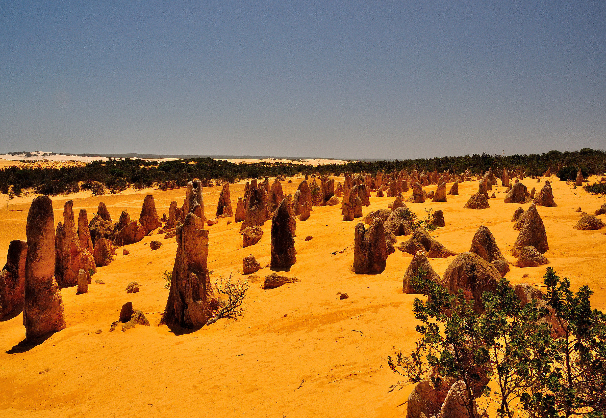 Pinnacles Desert - Western Australia