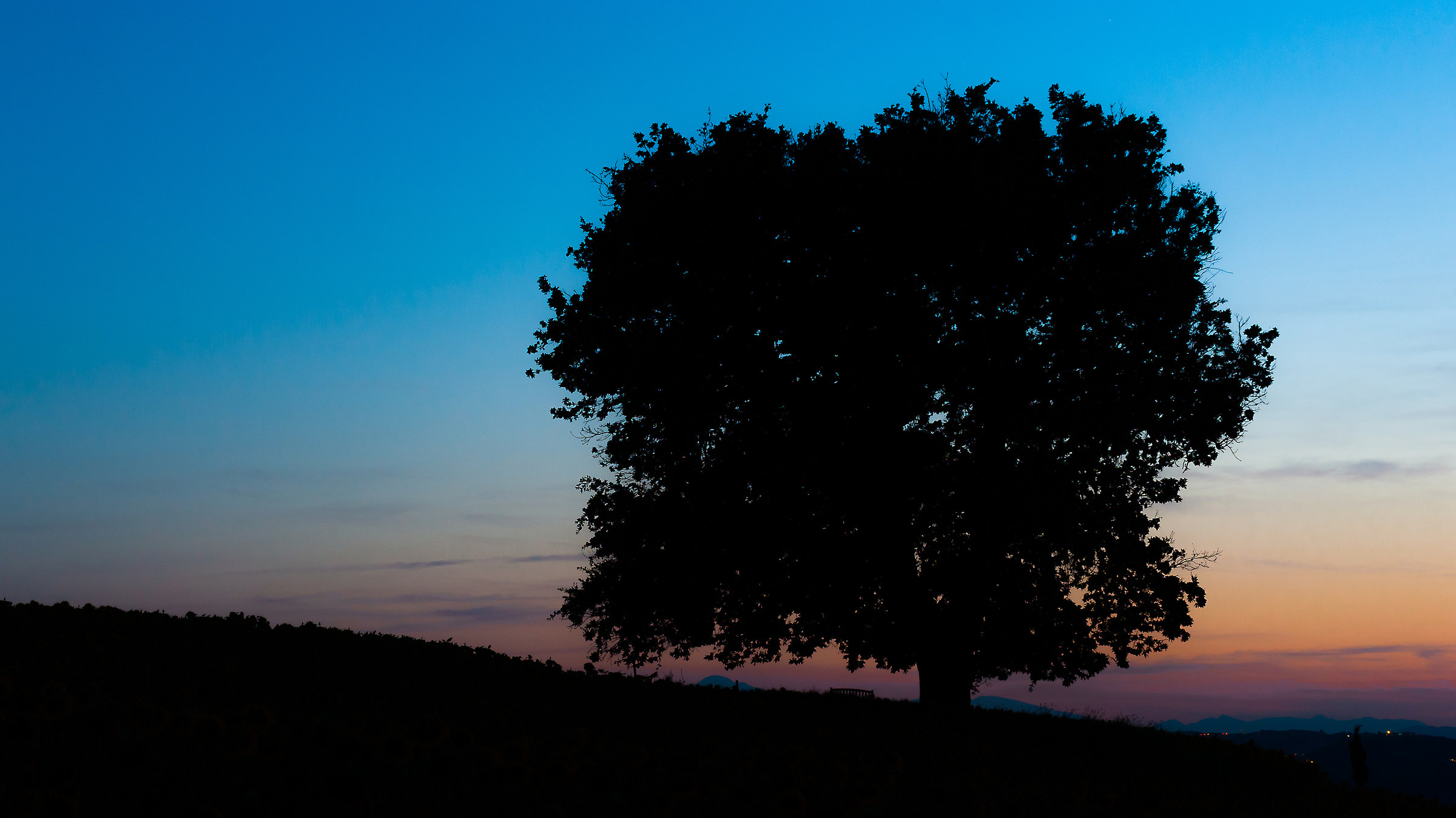 quercia al tramonto