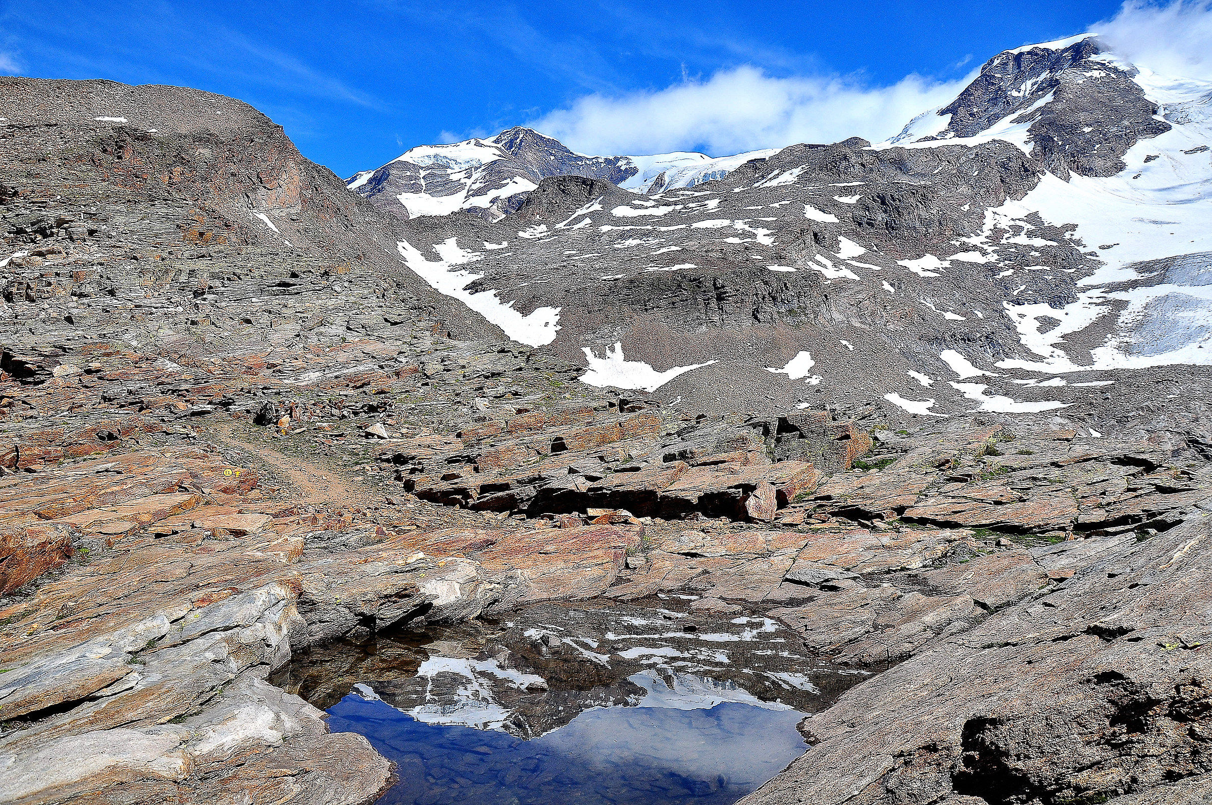 sua maesta si specchia