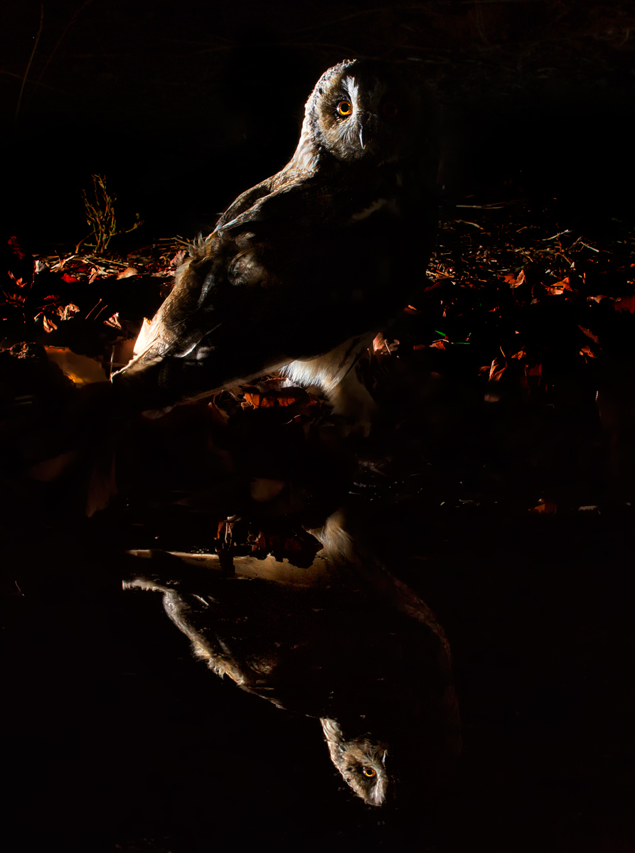 Spiriti nelle tenebre