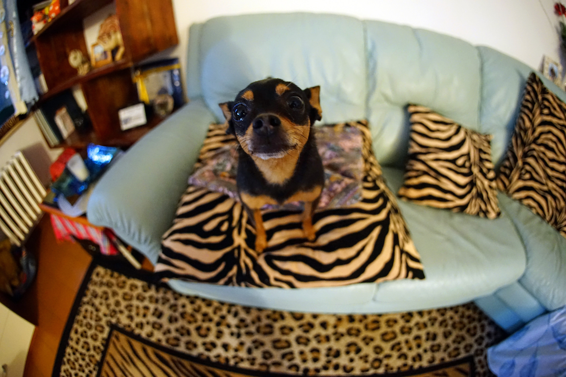 ..... con canon FD 15mm f2.8