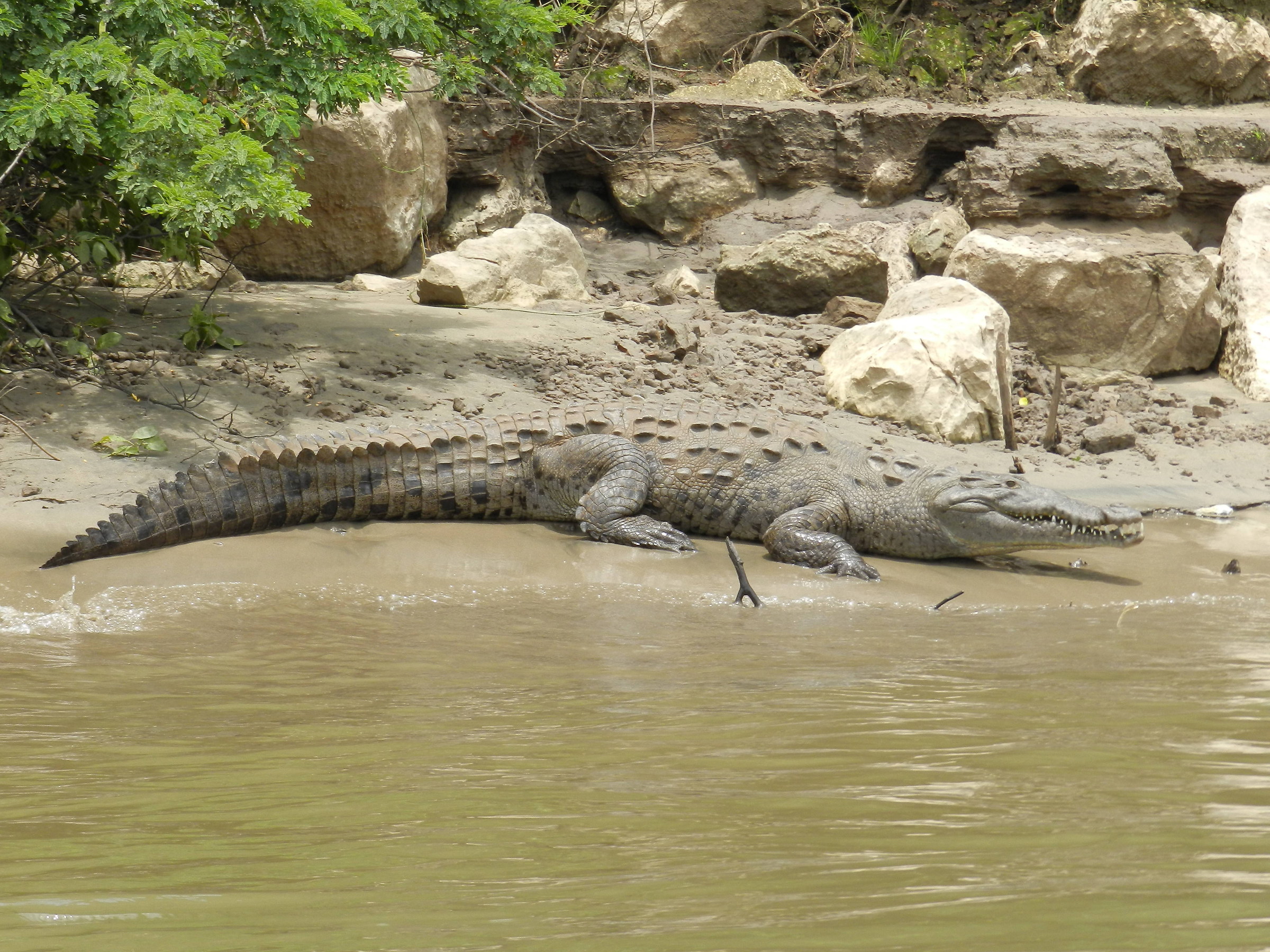 On the banks of the Rio Grande