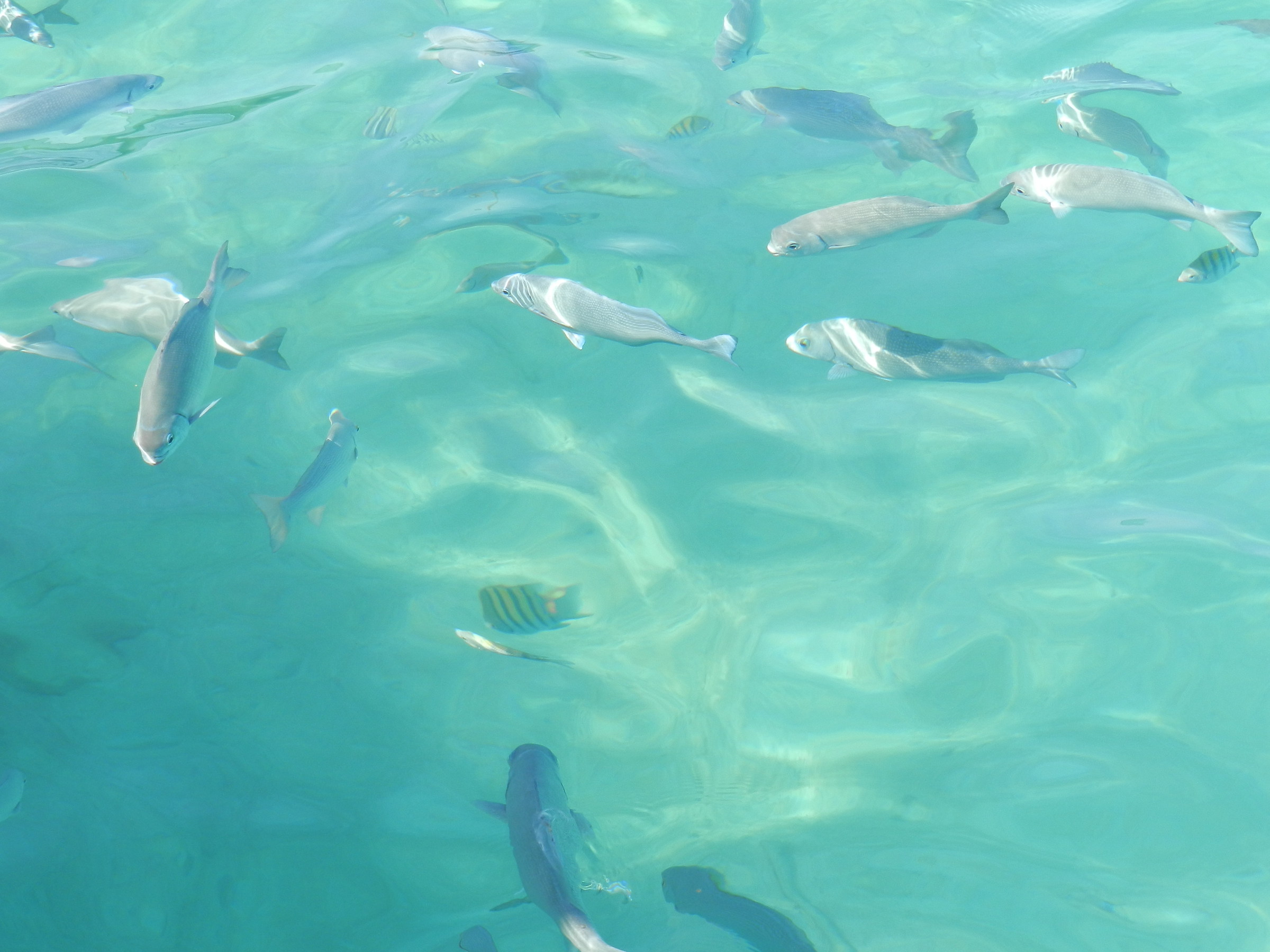 Riviera Maya, Mexico