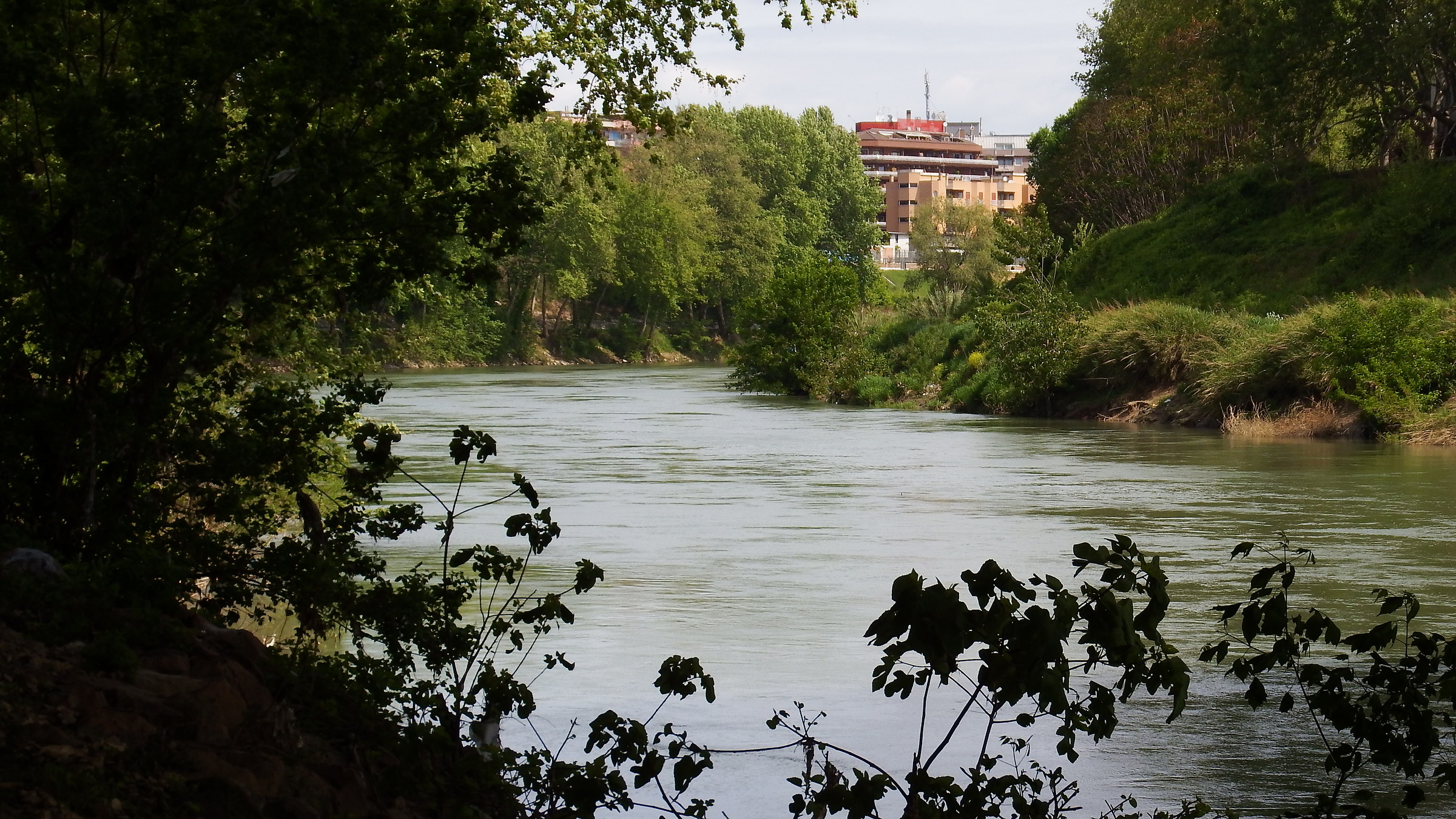Visioni di Roma dal Tevere