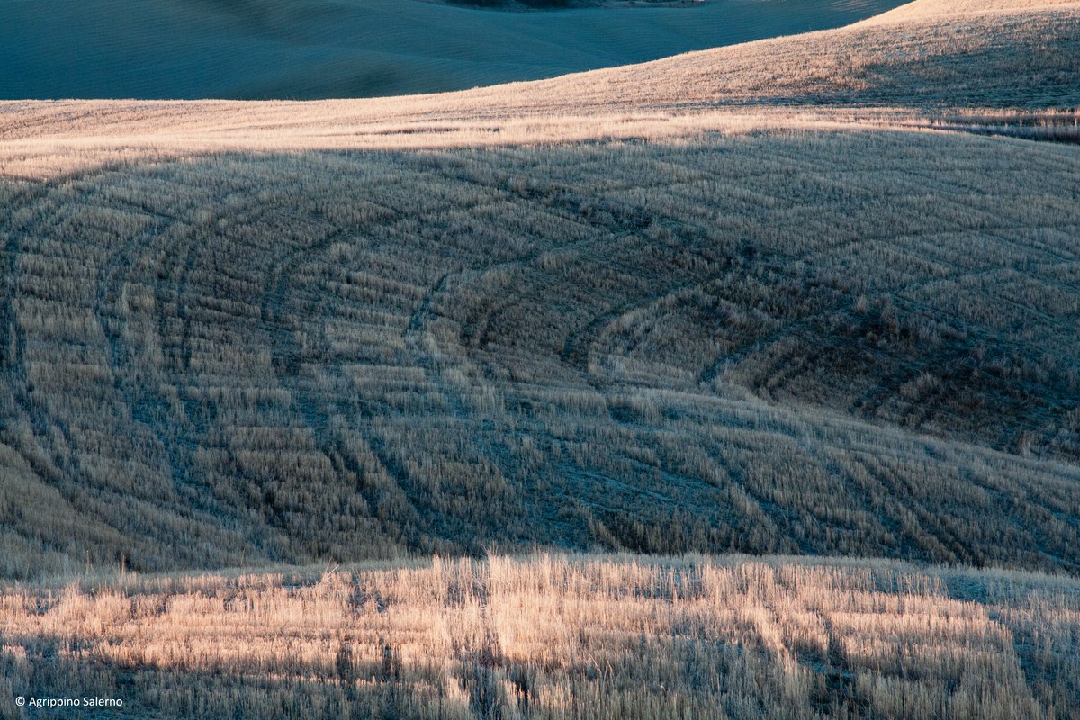Crete Senesi