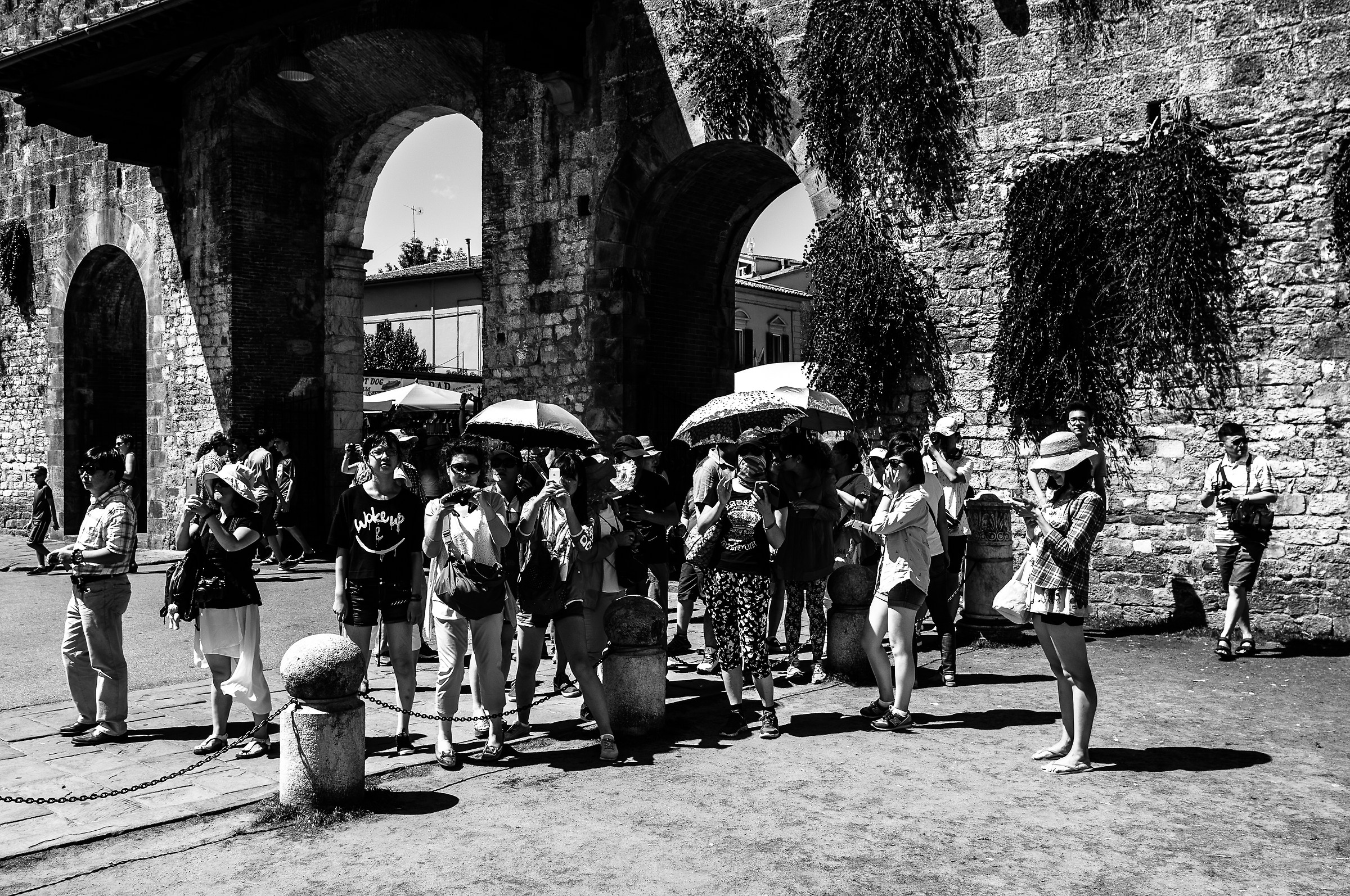 Piazza dei Miracoli (pi) - Turisti internazionali 5