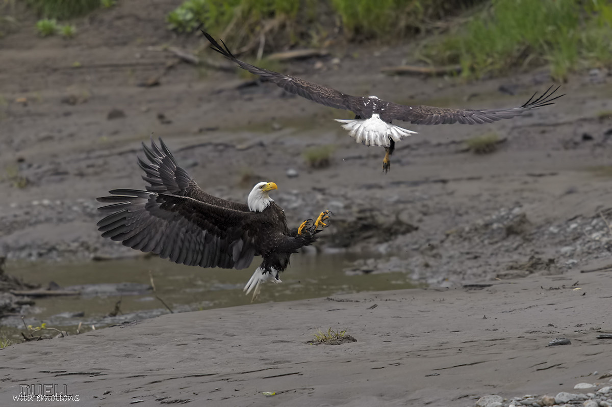 things of this world