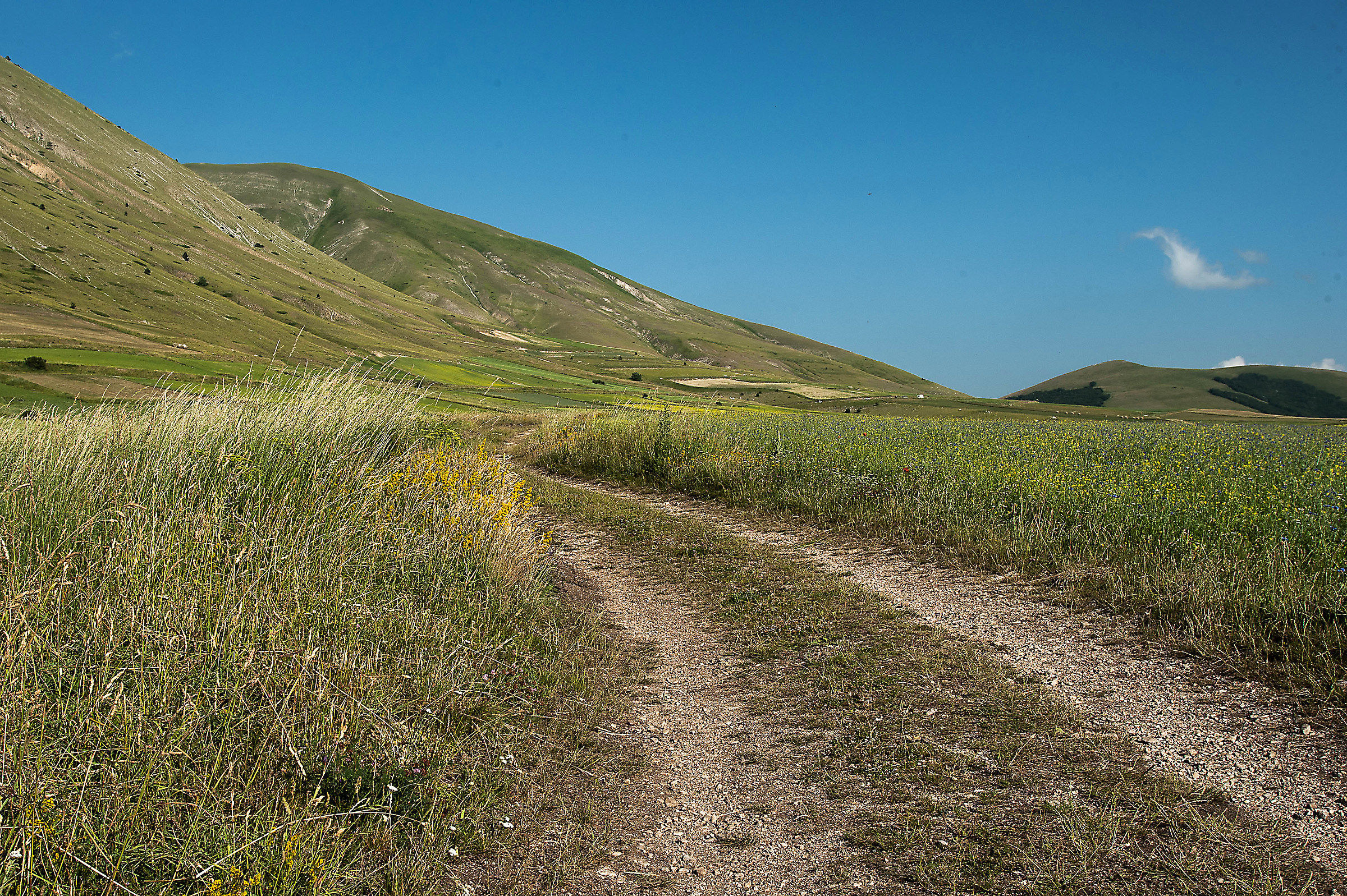 castelluccio