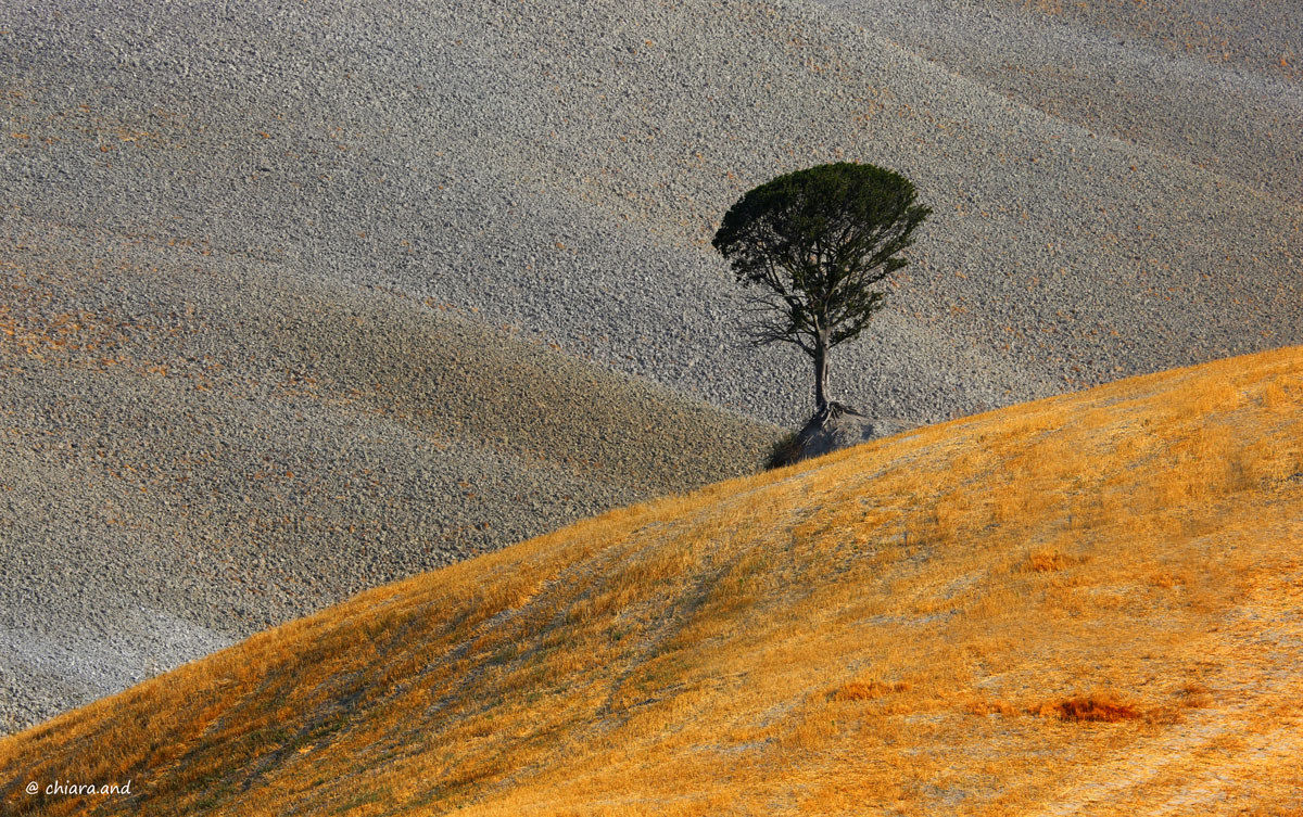 Between sun and Terre ...