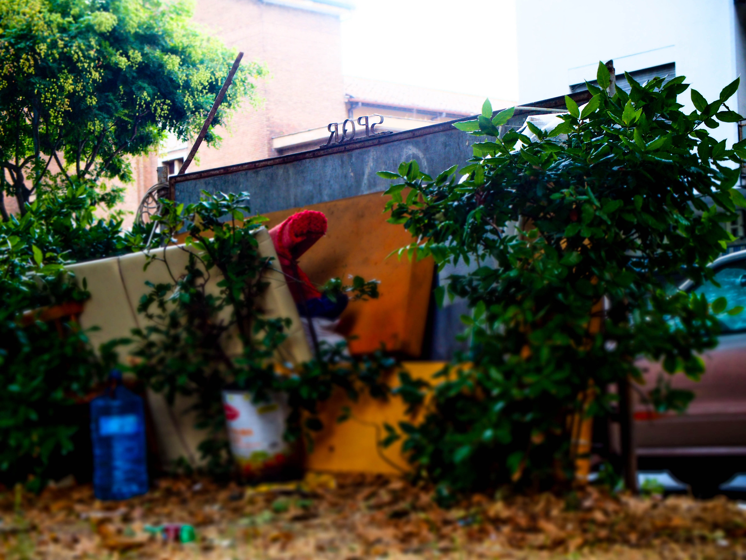 I have not calibrated the monitor? 2