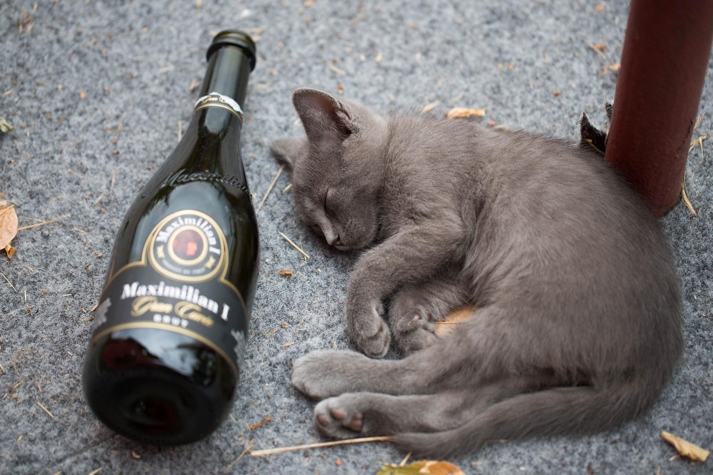 Bollicine amatissime....