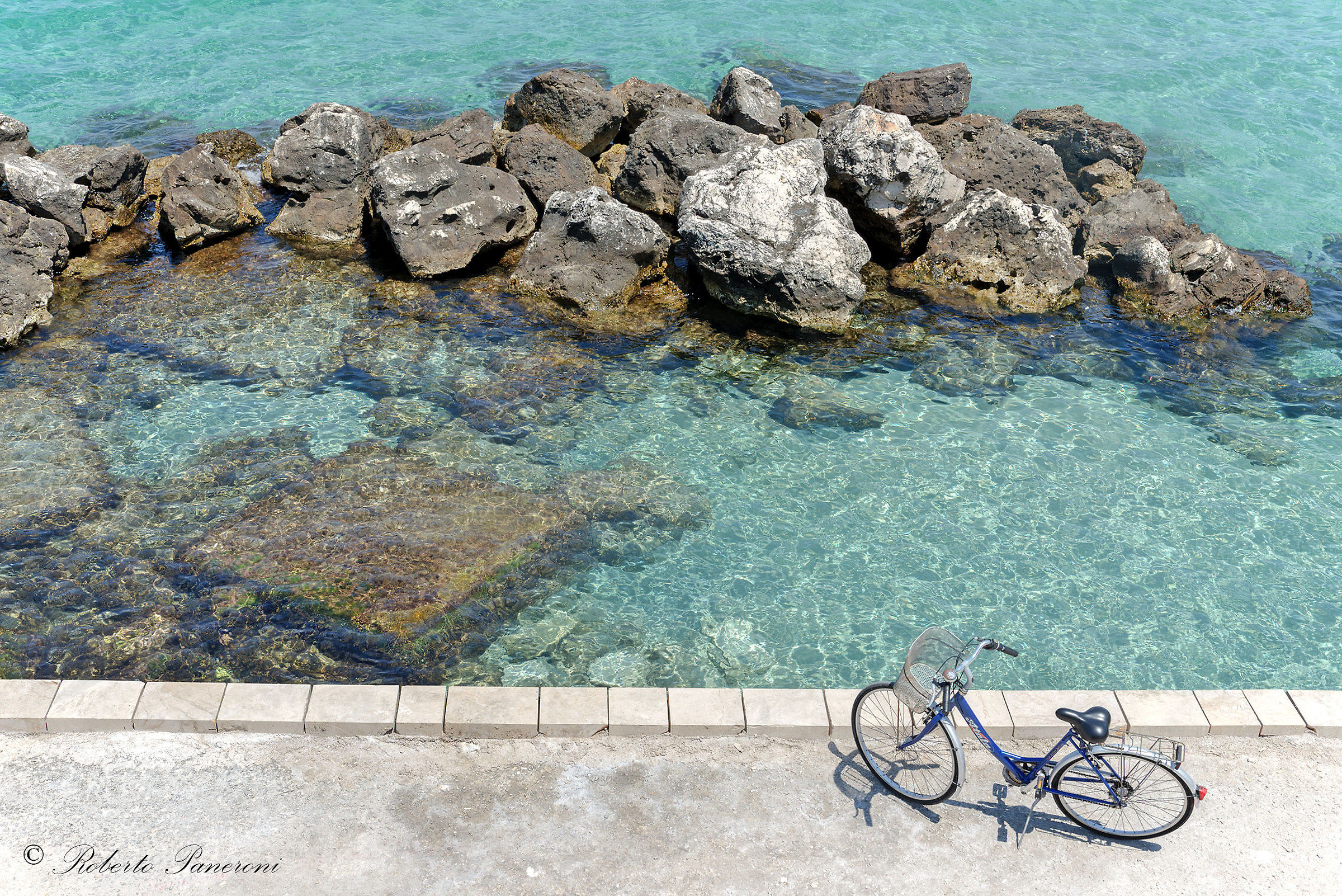 Quando torna il mio padrone ?...