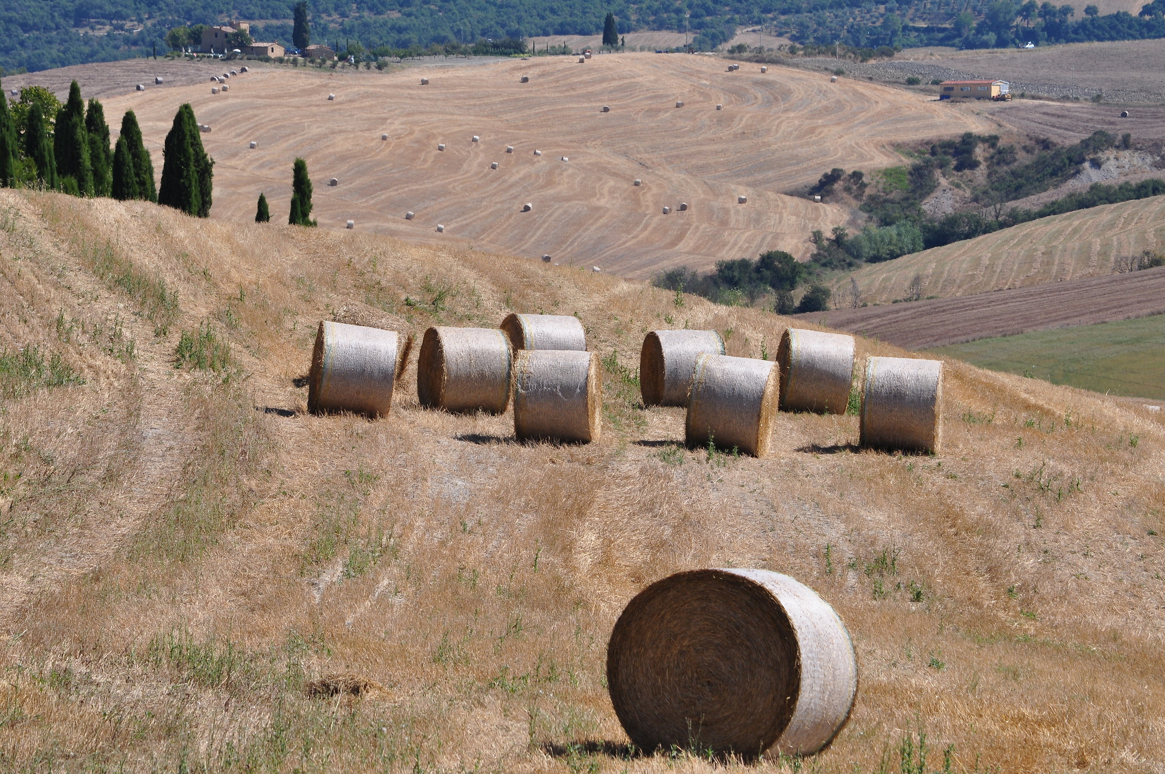 straw bales San Quirico d'Orcia