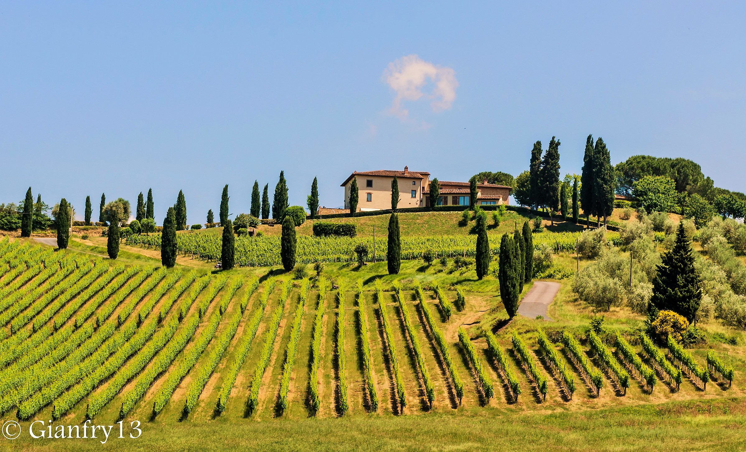 Colline toscane