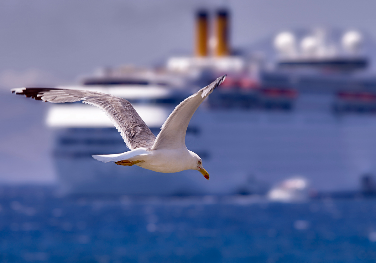 There 'surfers and those Fly!