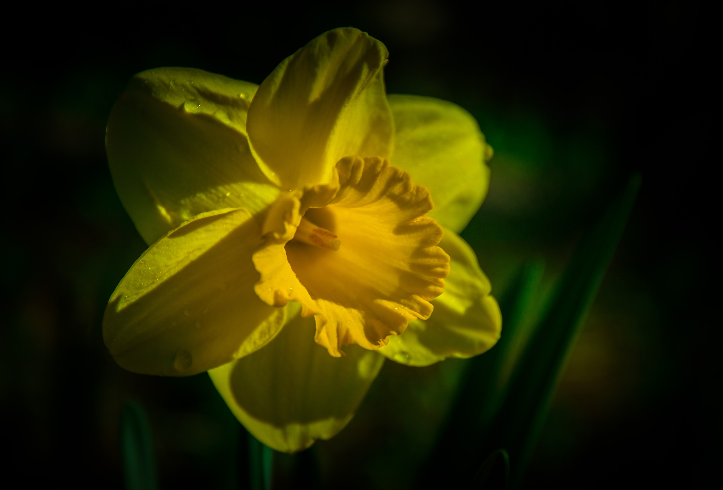 A bit 'of yellow in the dark