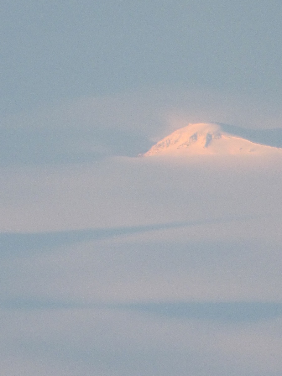 Ghiacci dall'aereo - Groenlandia
