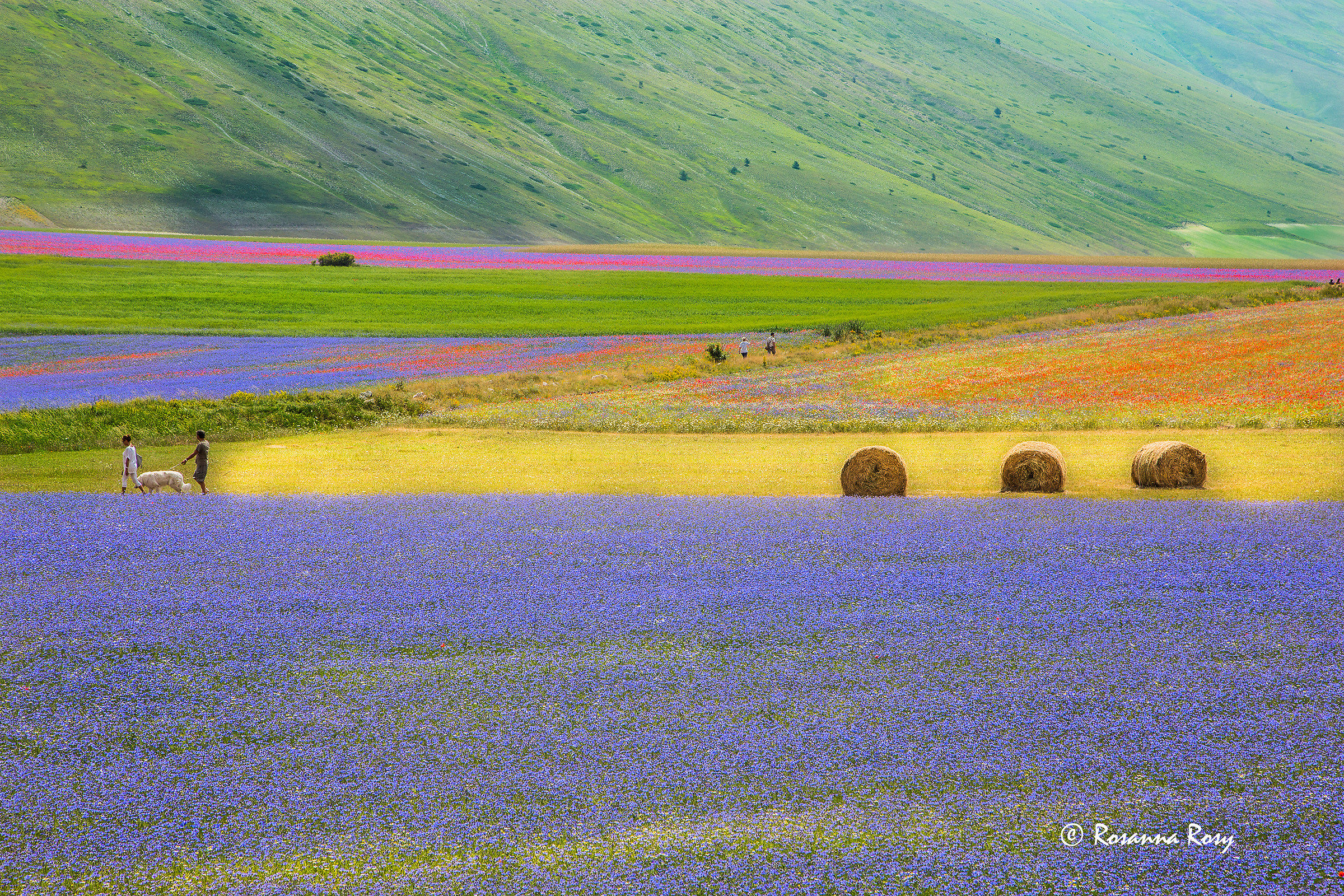 Nature paints ... and we help ...
