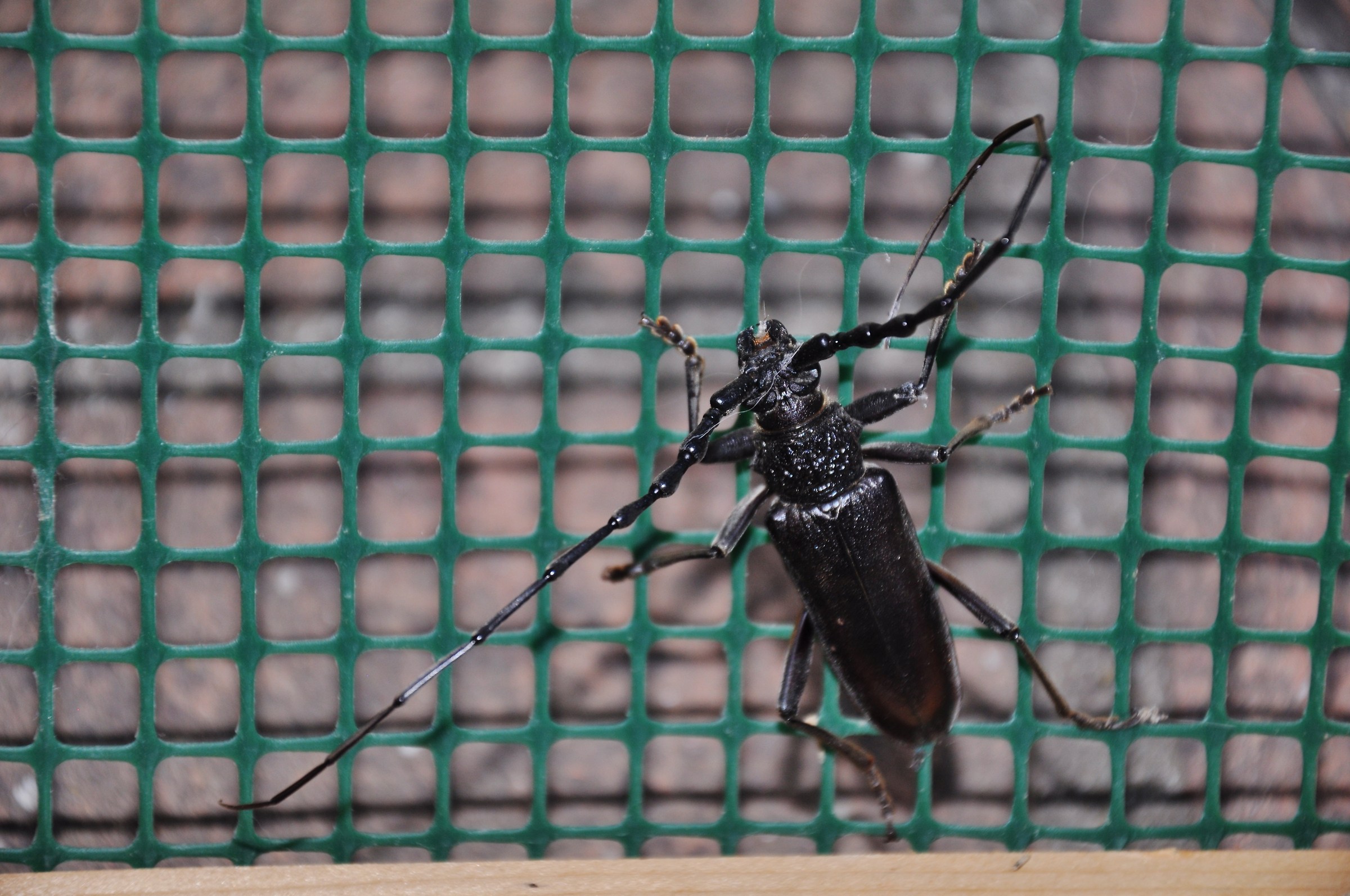 hey! you're locked in the house !!