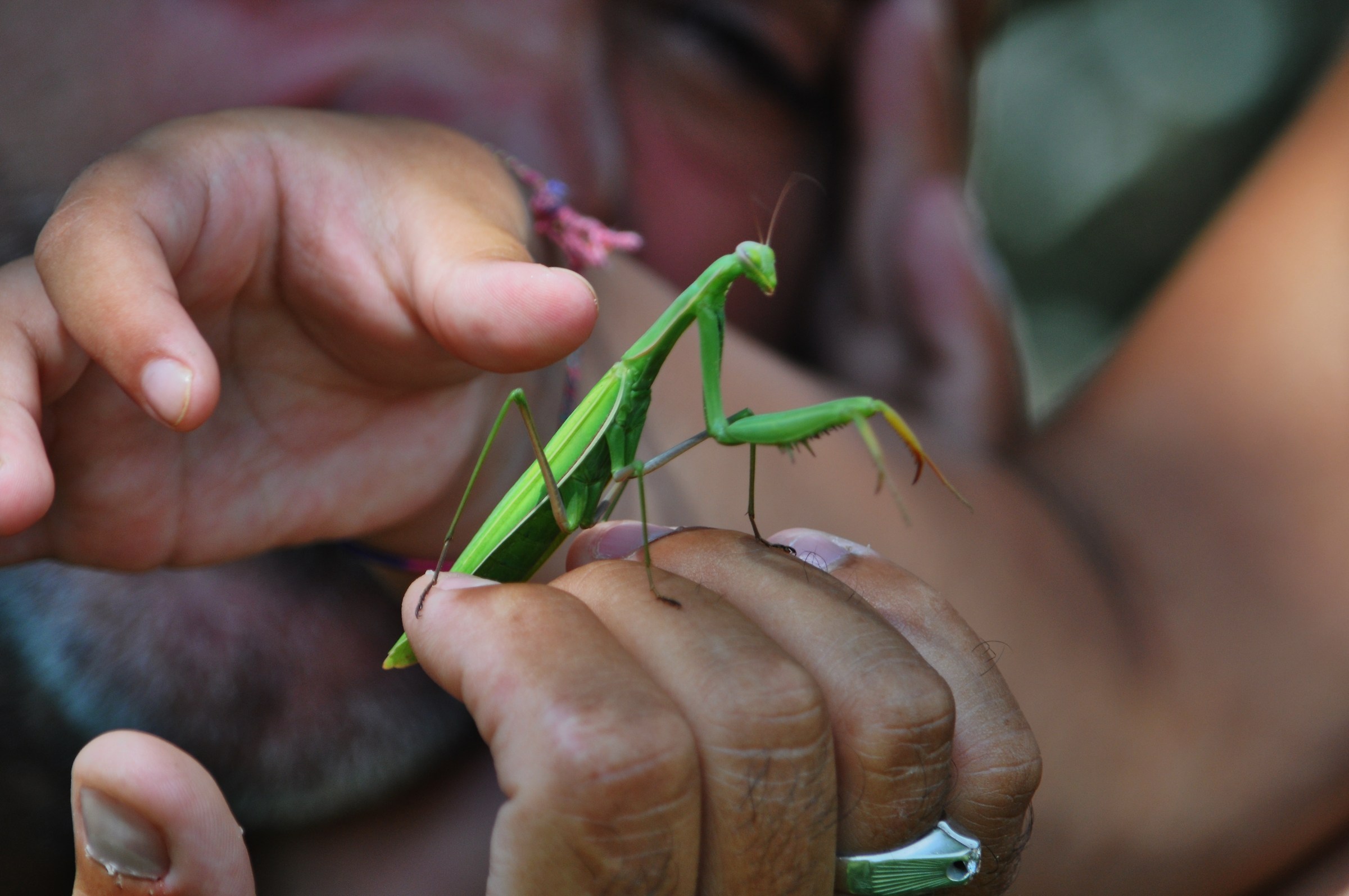 here 'I feel safe ...... I hope !!!