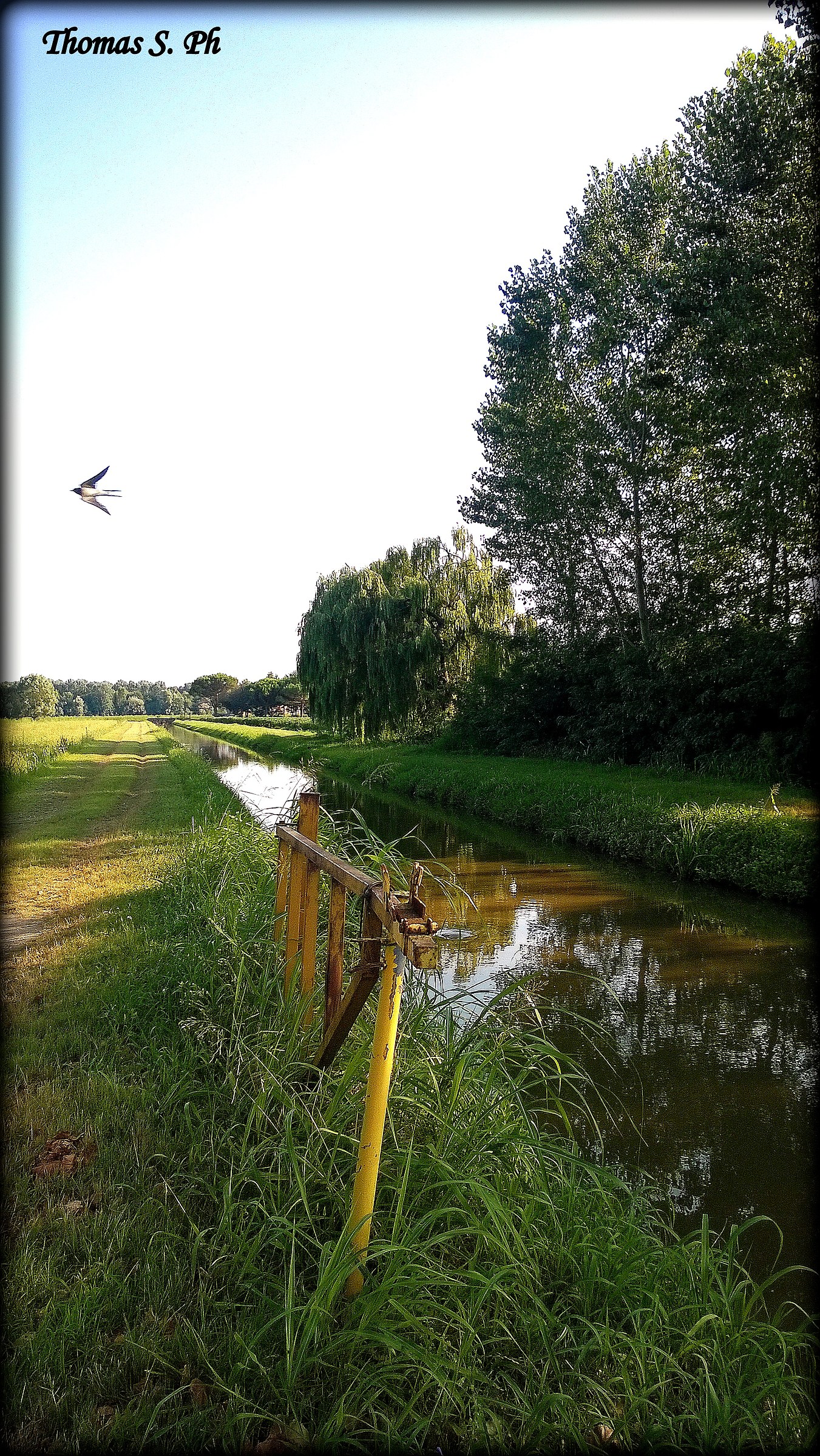 Nei pressi dell'Abbazia di Pomposa.