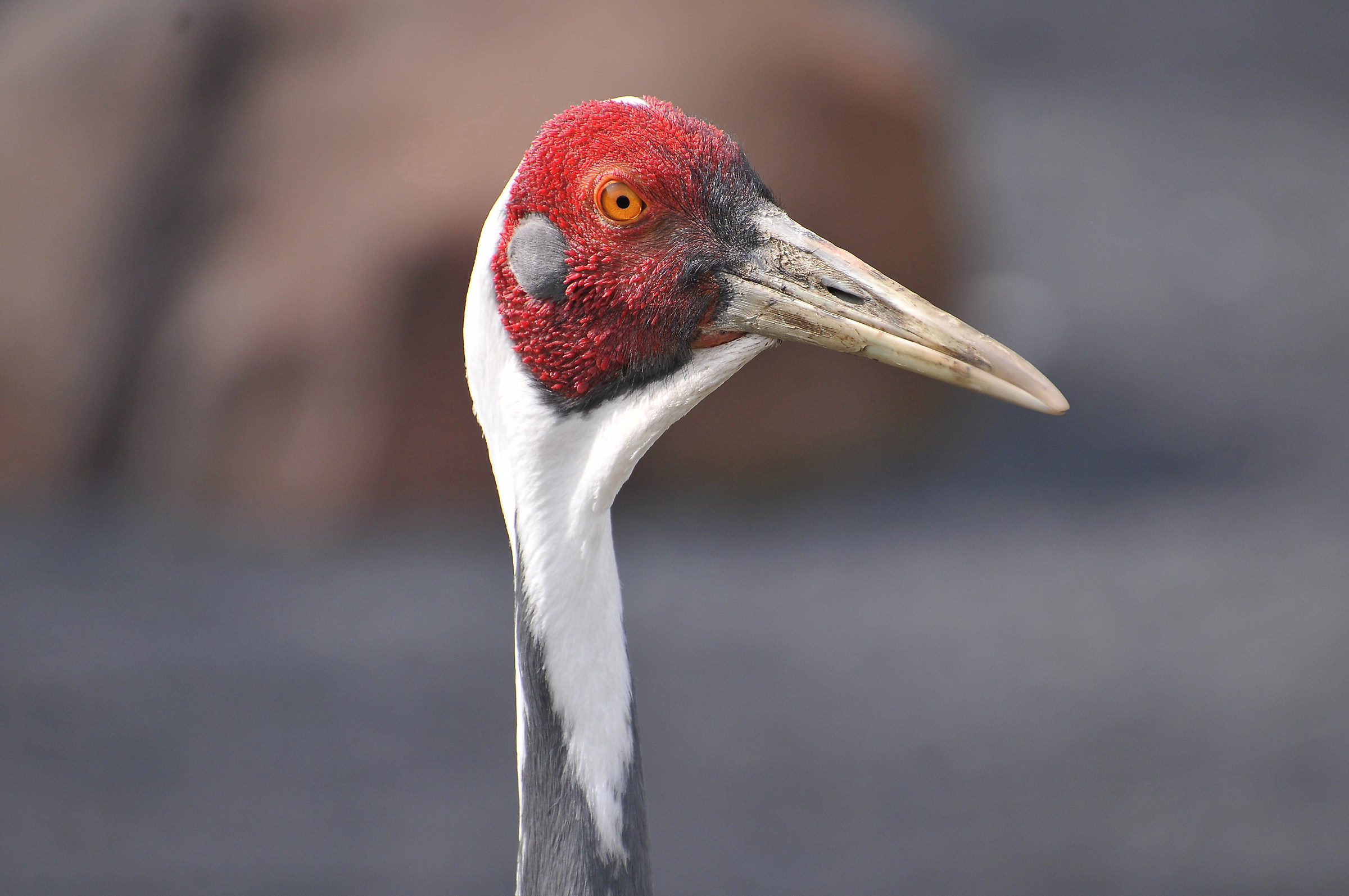 Massima concentrazione