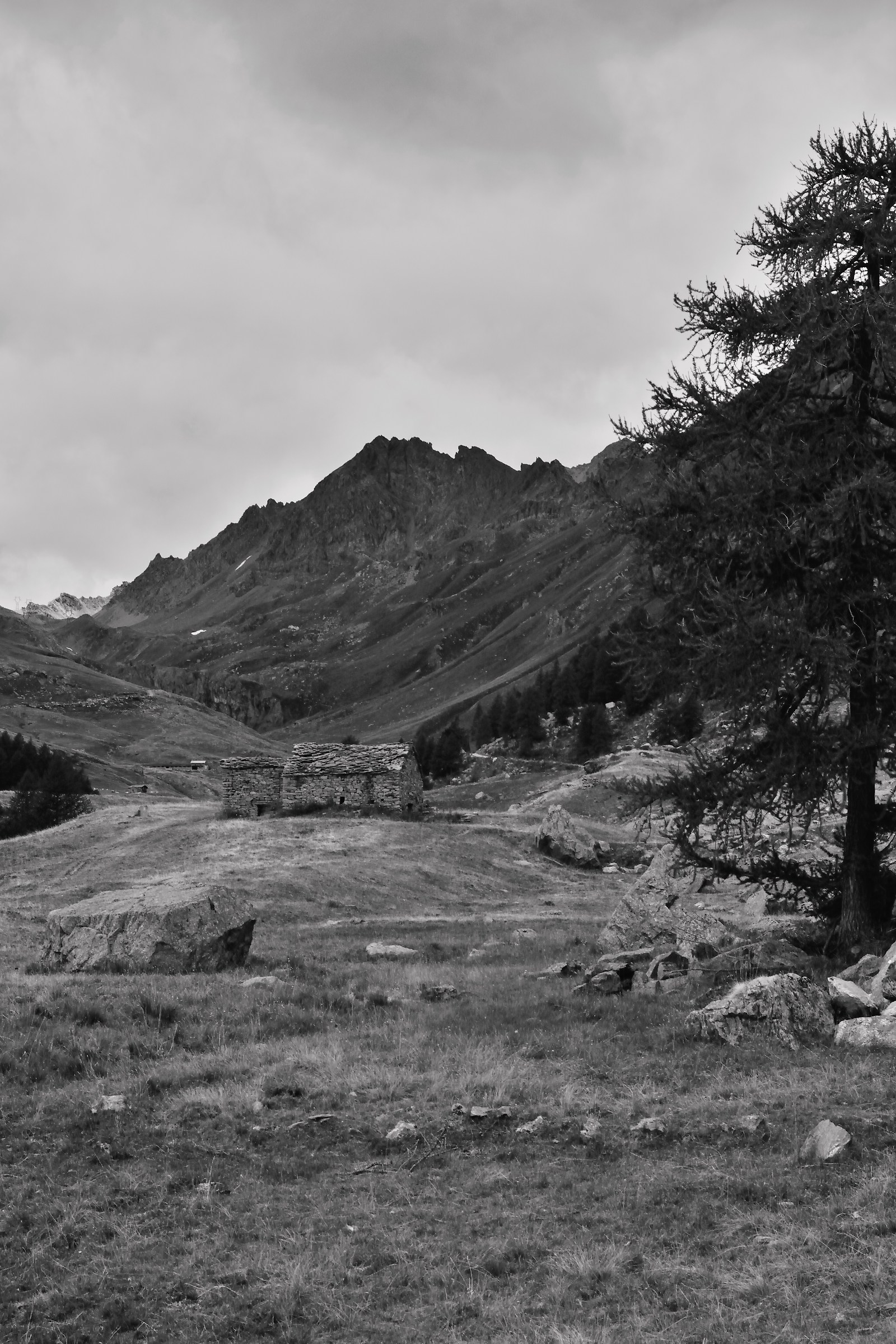 Ancient pastures along the road to the lake Miserin
