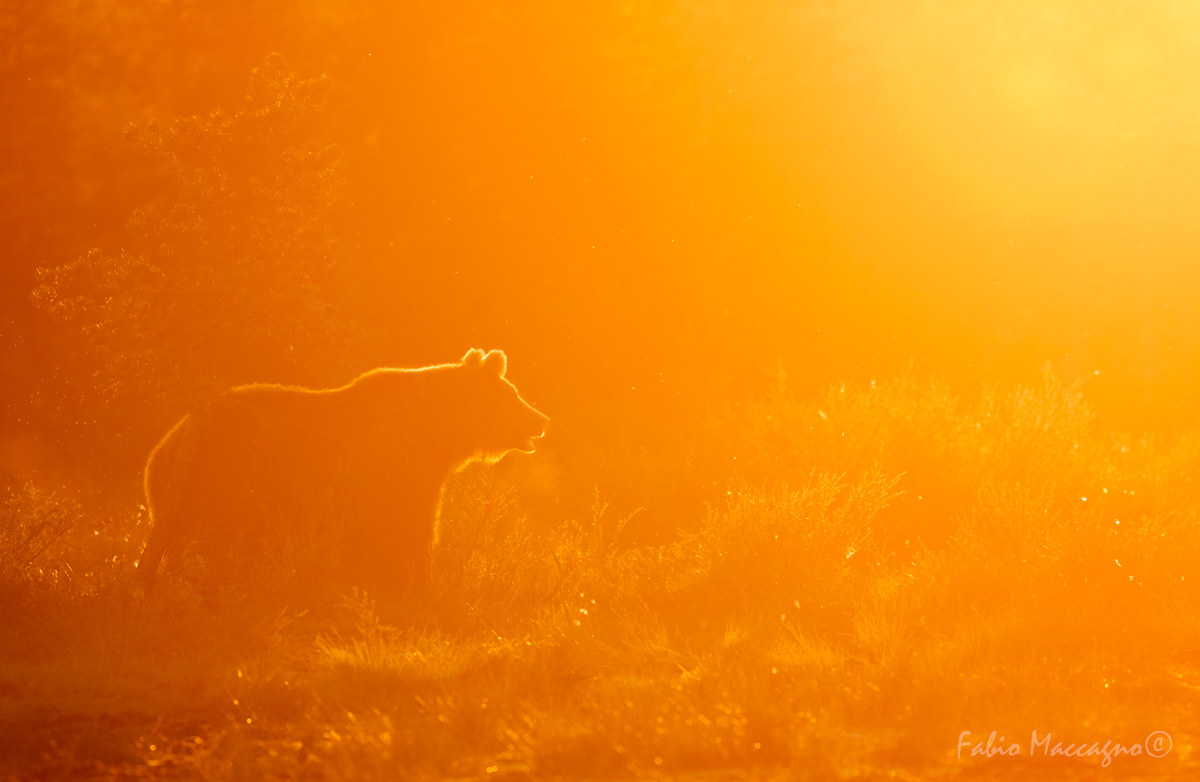 Unforgettable sunset