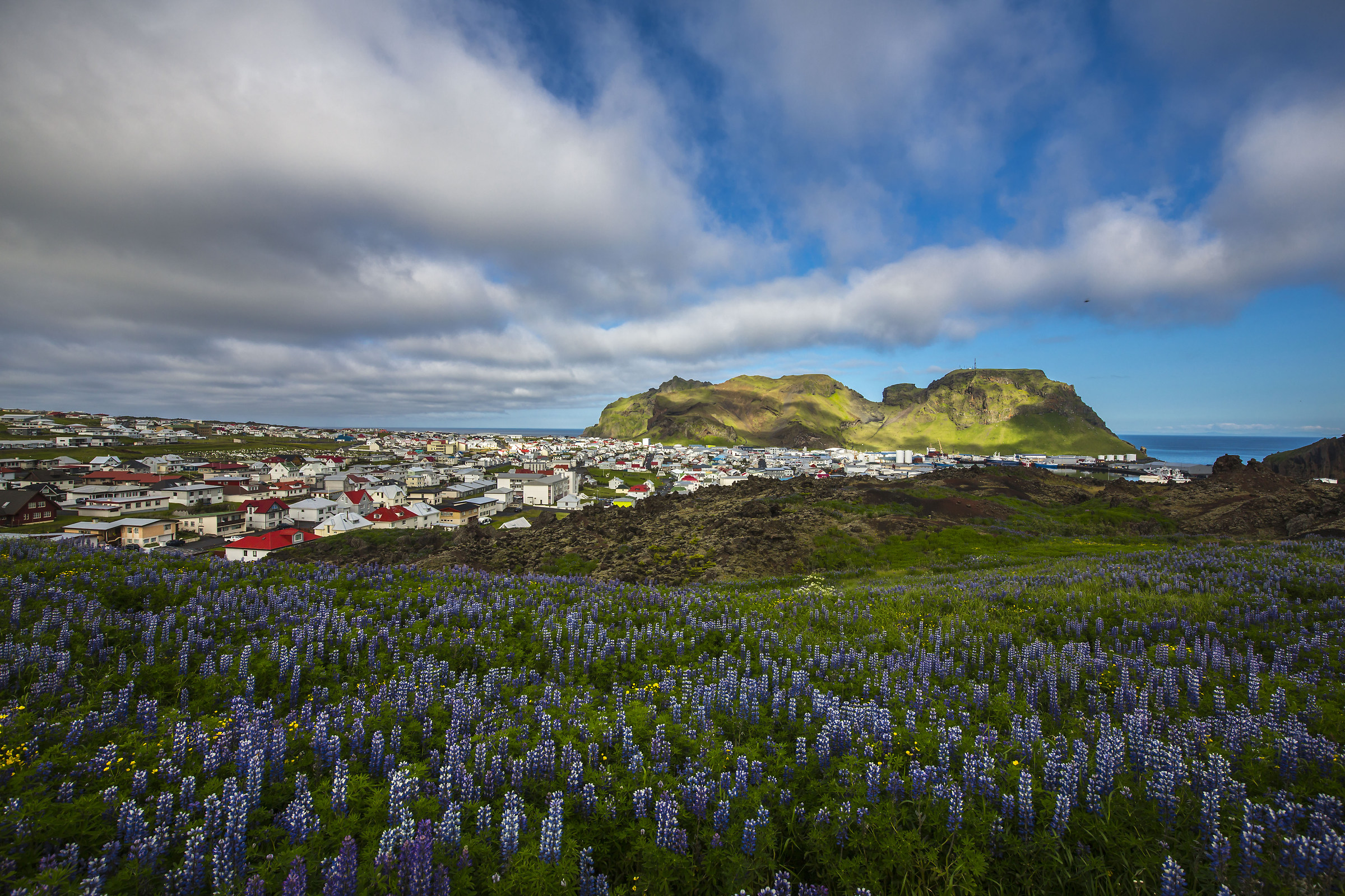Heimaey - Vestmannaeyjar islands