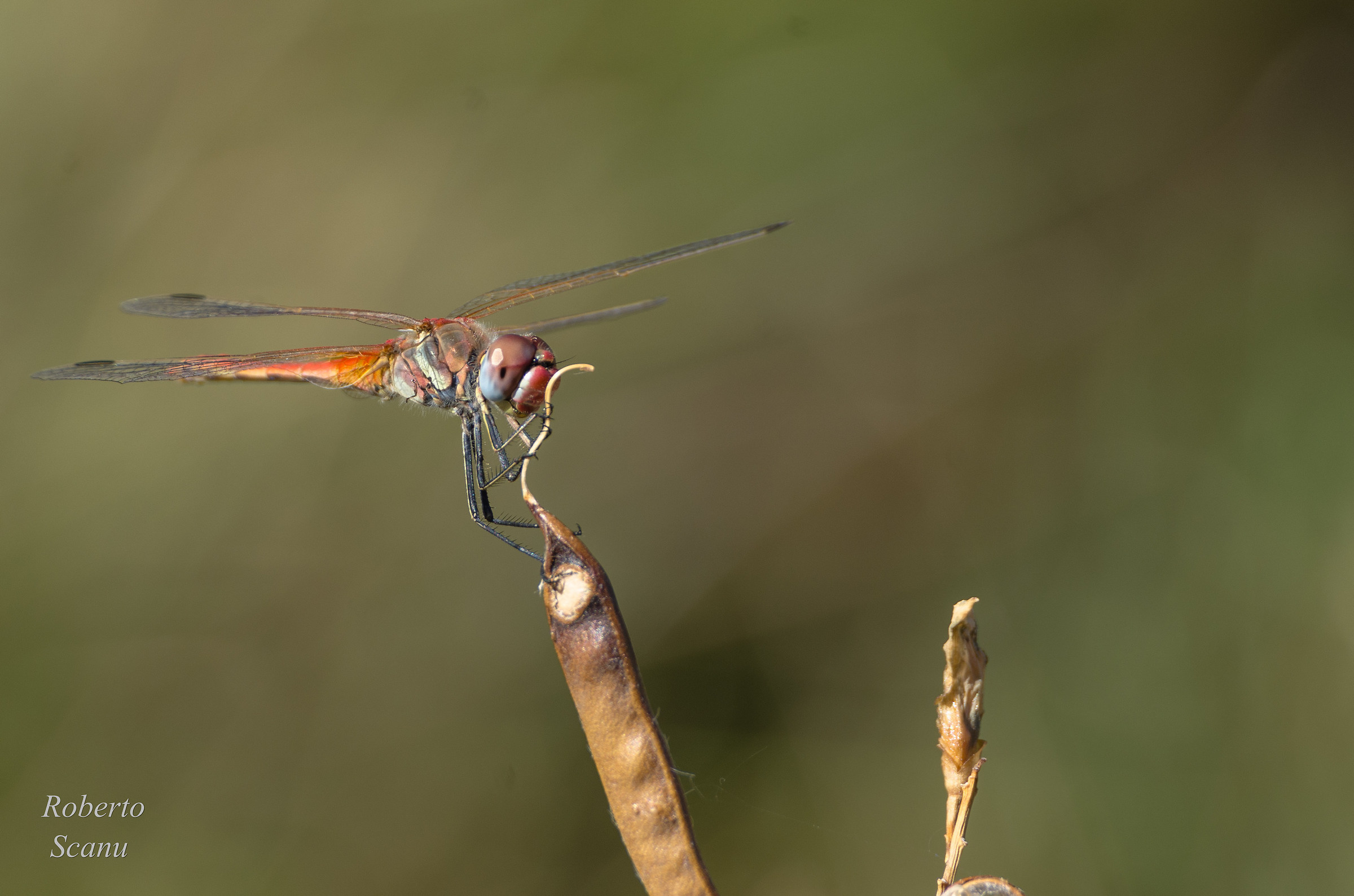 Close Encounters ...