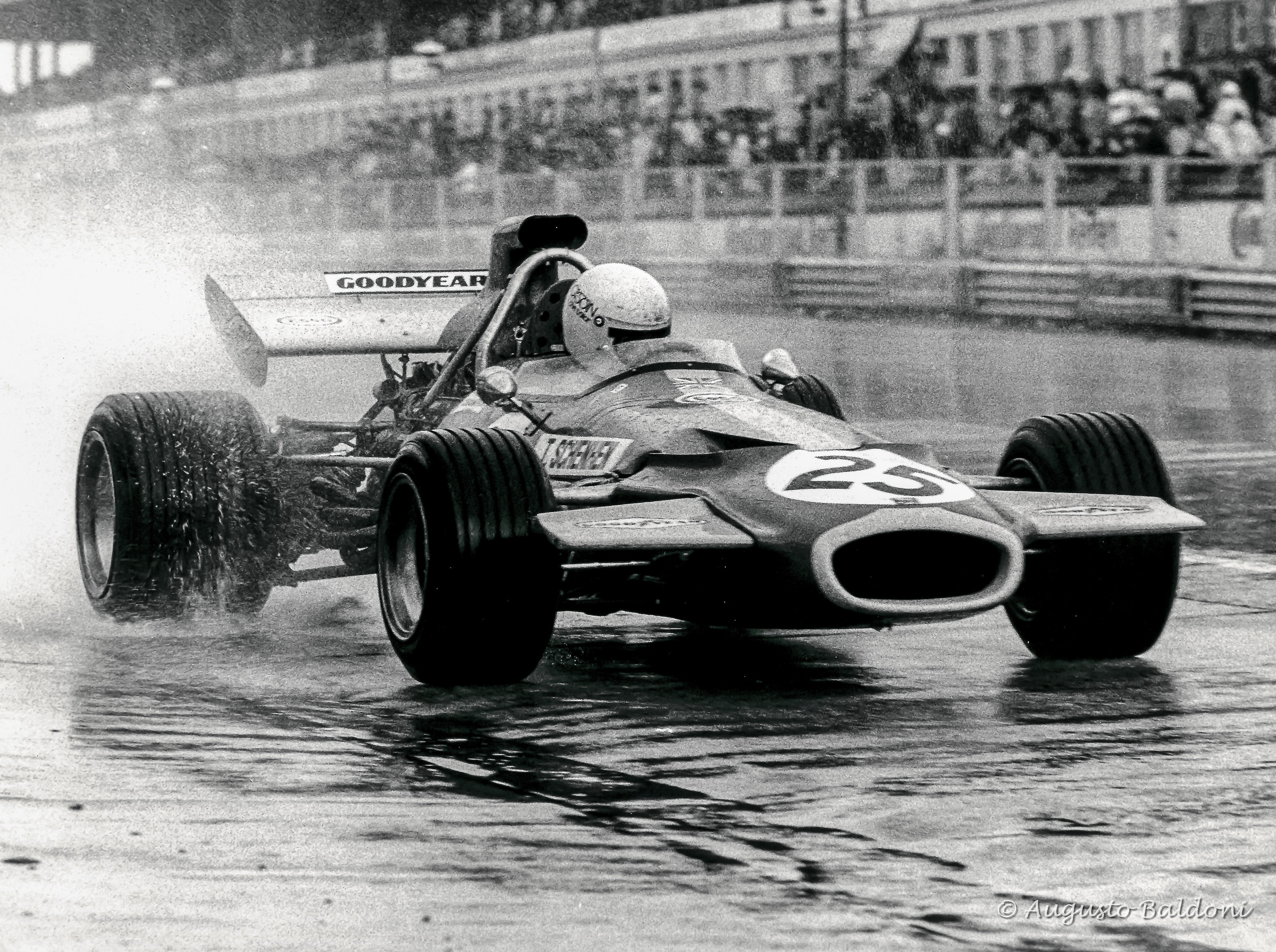 The puddle - Tim Schenken