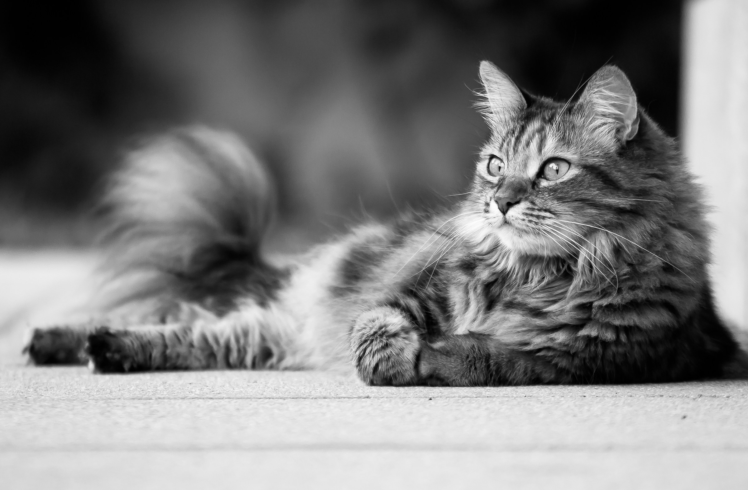 Everything under control!!!