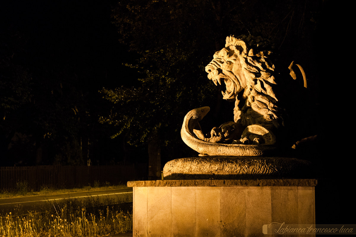 the law of the jungle