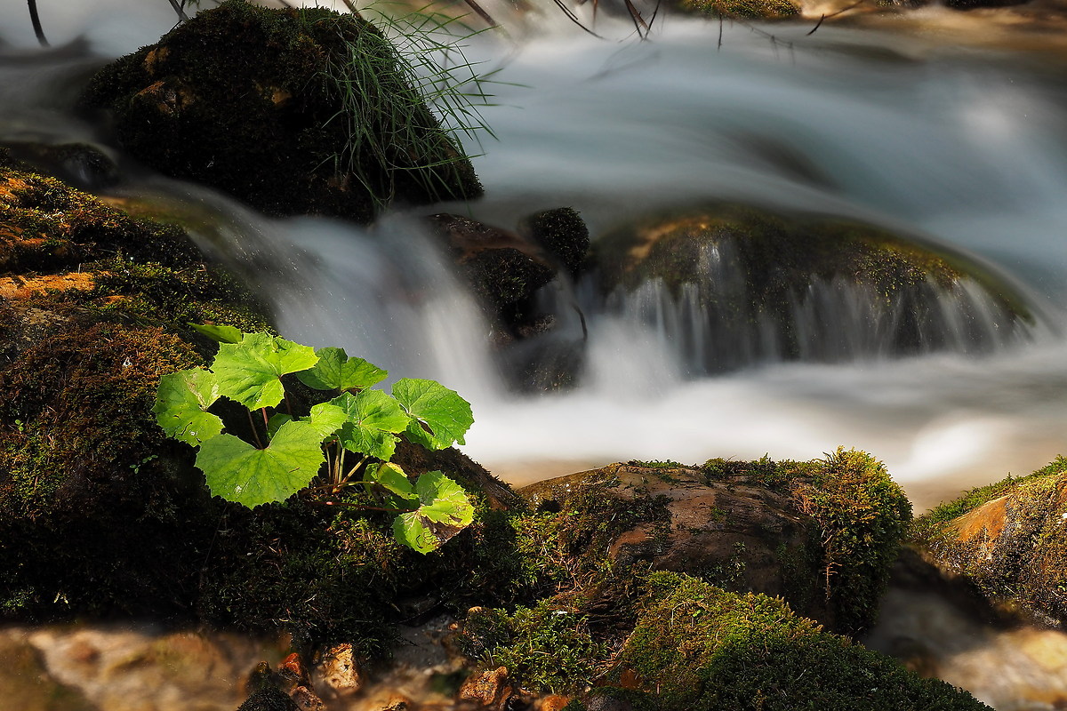 From the sources to the Black Sea